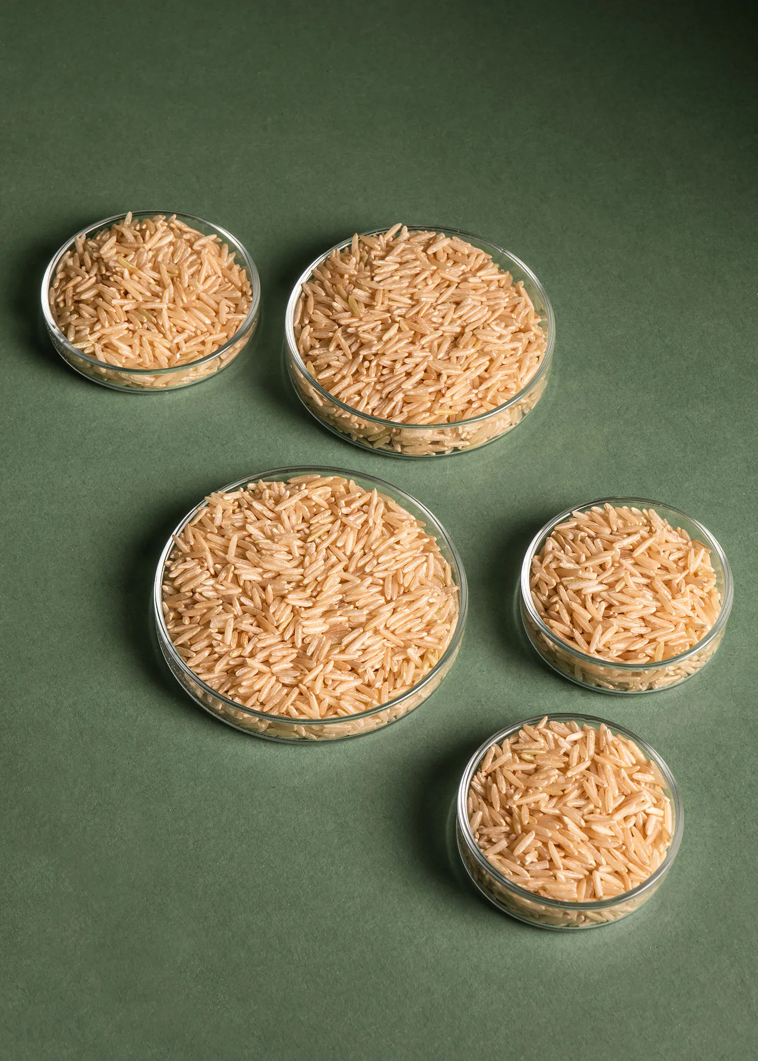 vier Gläser mit Reis in verschiedenen Größen auf einem Tisch