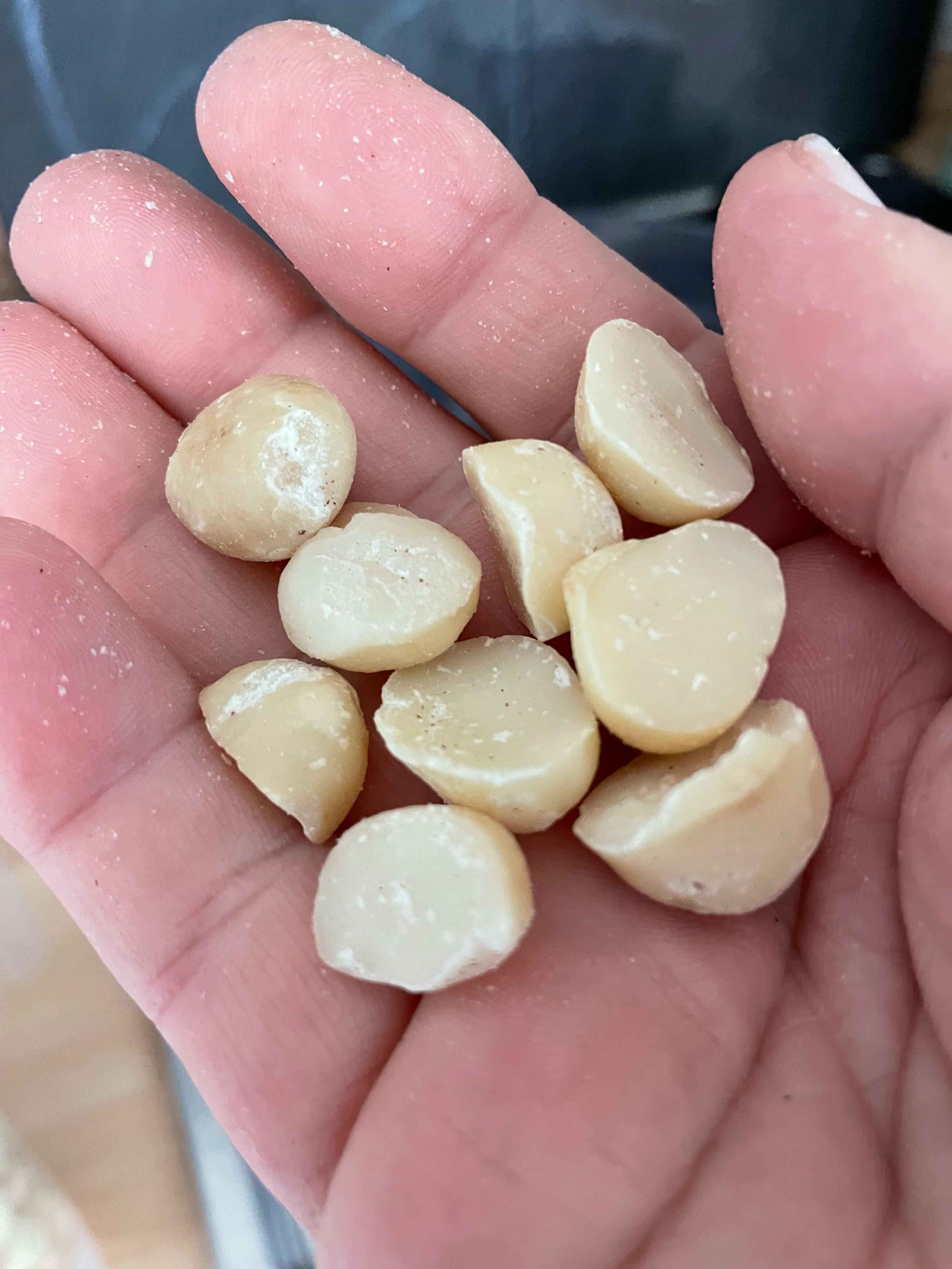 una persona tiene in mano un mucchio di noci macadamia