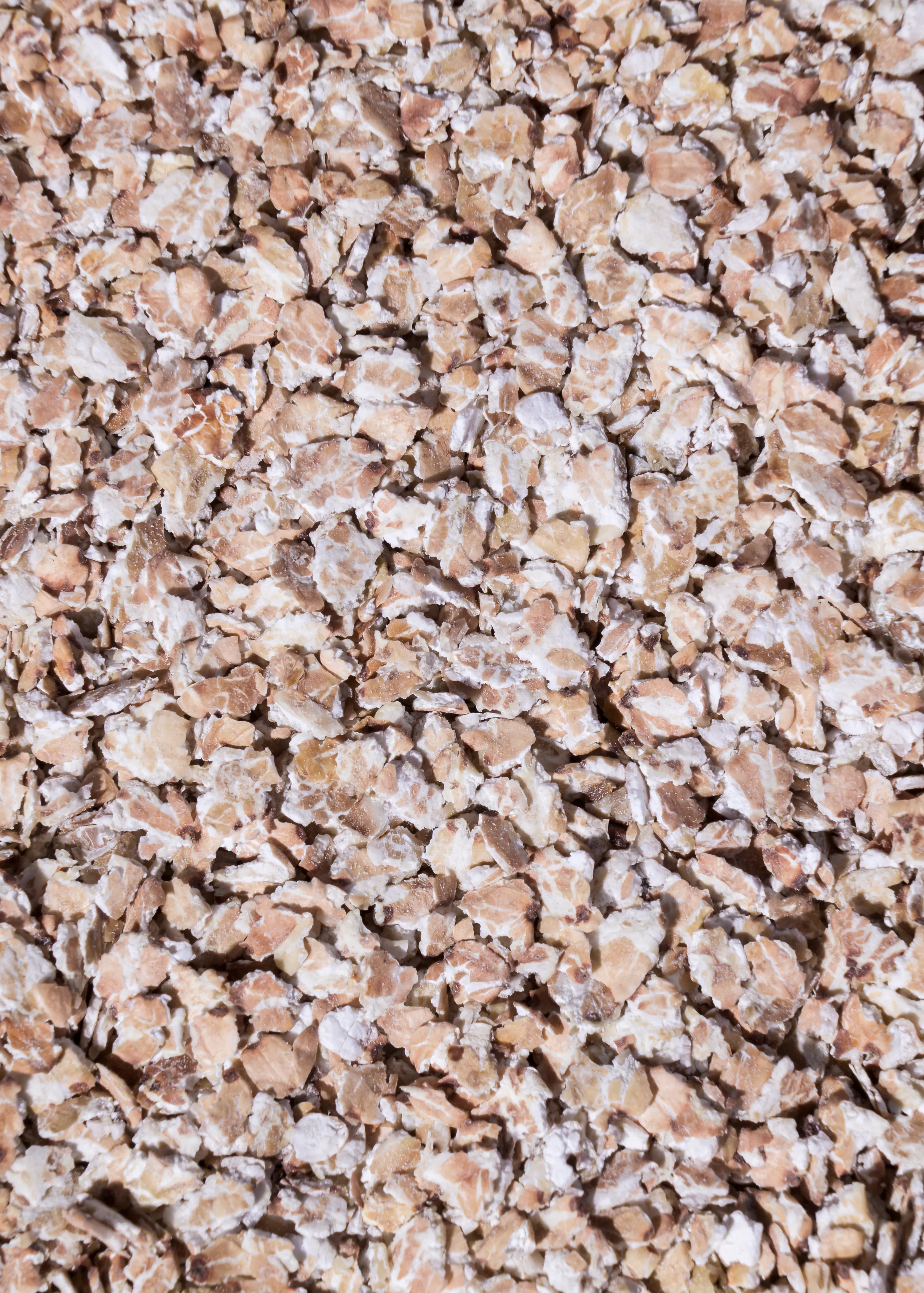 gros plan de flocons d'avoine secs et concassés.