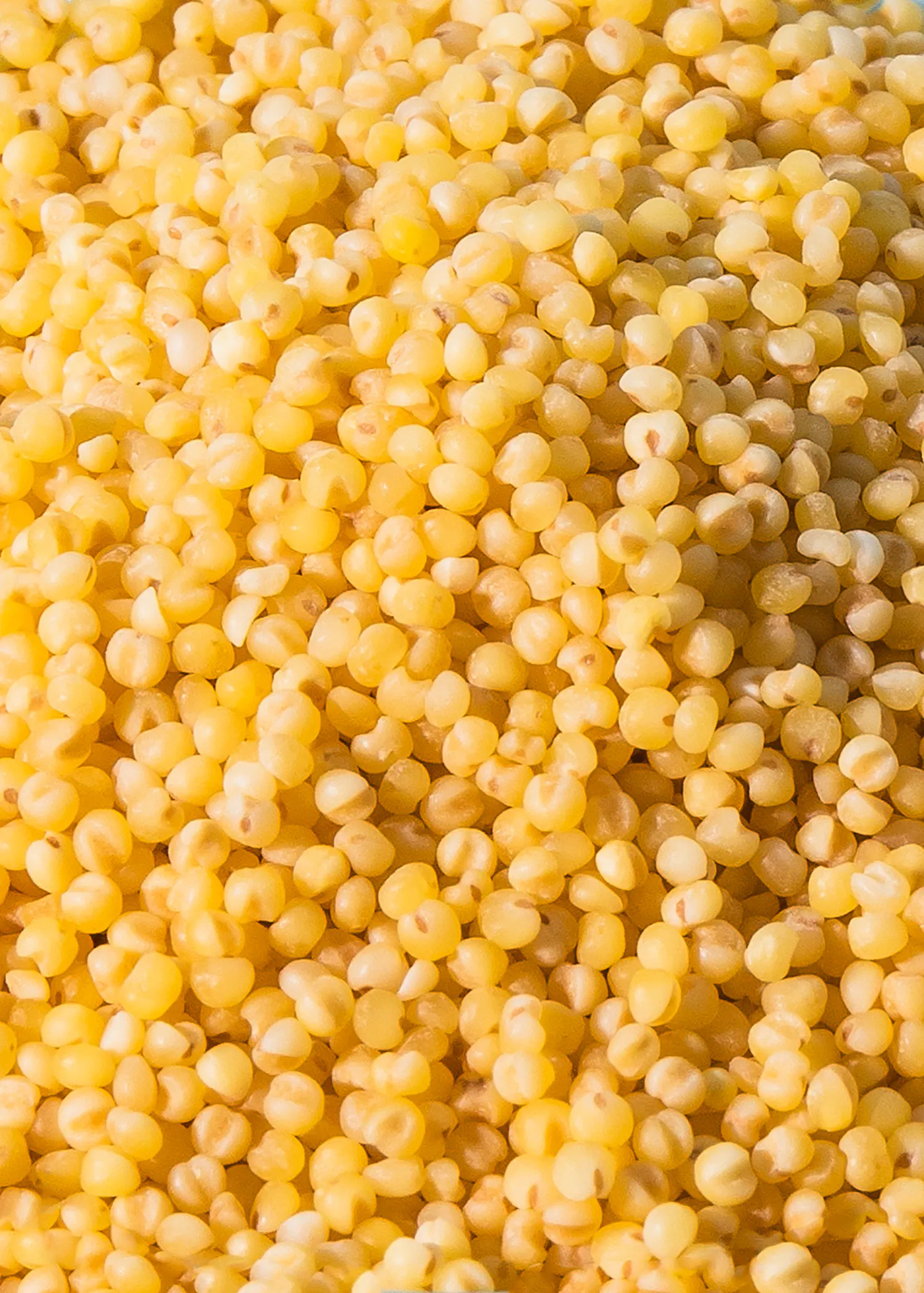 un gros plan d' une pile de graines jaunes