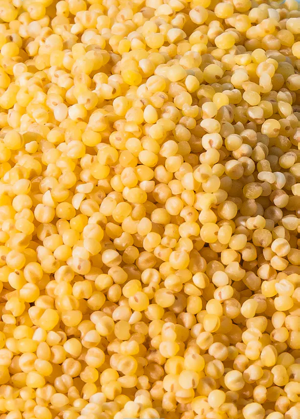 un gros plan d' une pile de graines jaunes