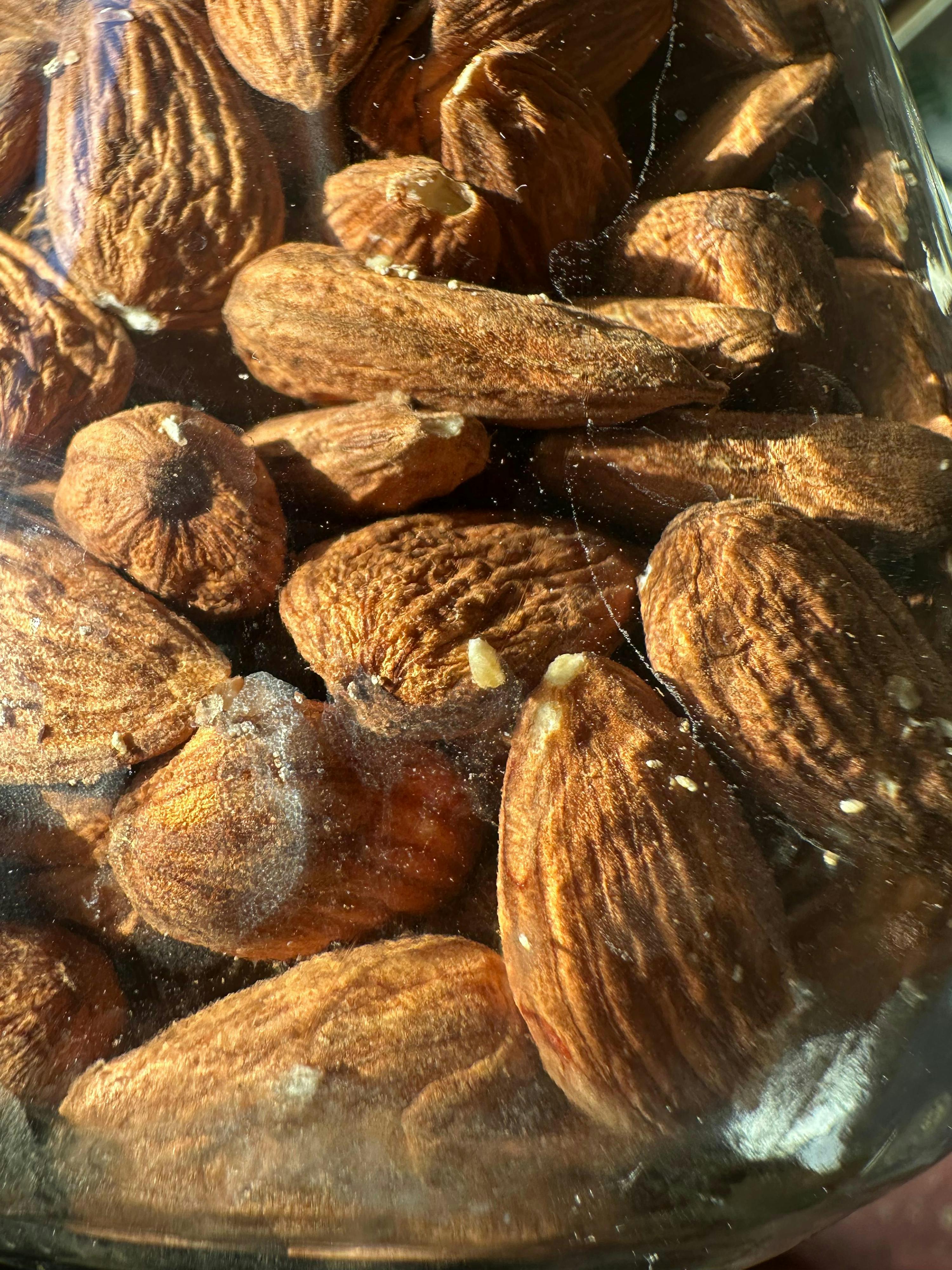 nahaufnahme von mandeln in einem glas, einige davon mit kleinen weißen keimen oder schimmel und feinen spinnweben.