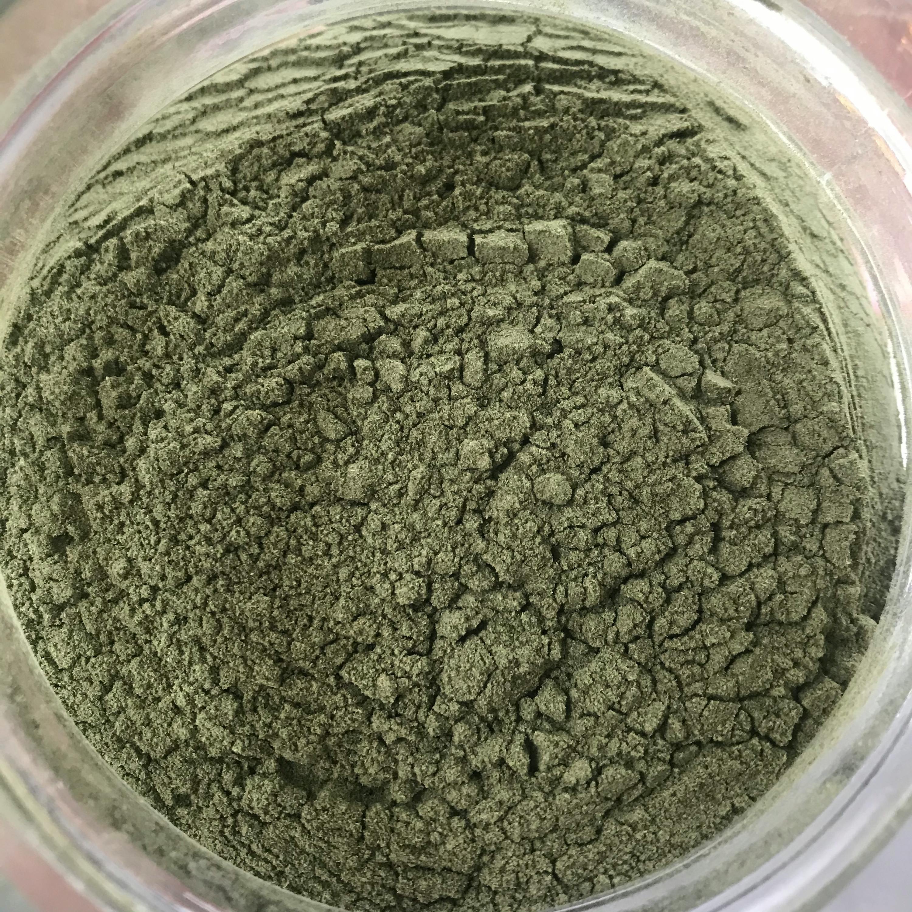 un gros plan d' un bol de poudre verte