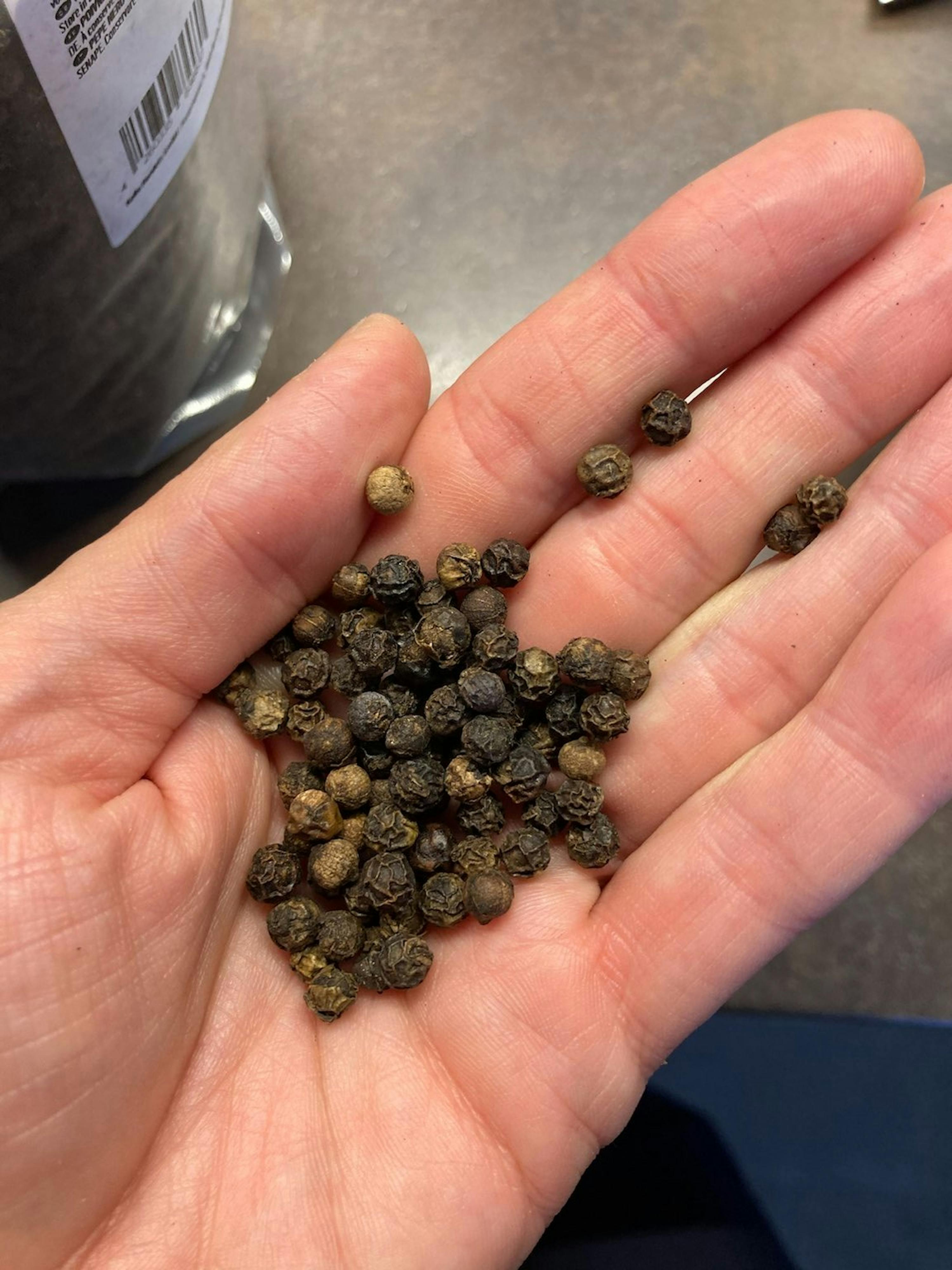 une personne tient dans sa main un tas de poivre noir