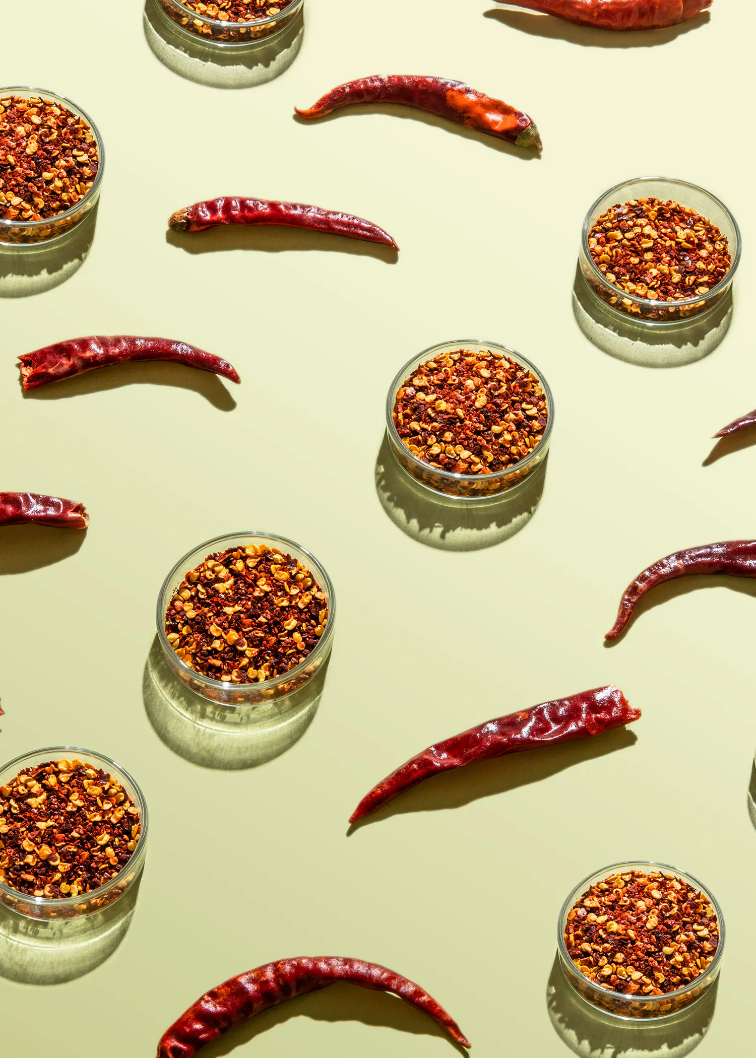 un patrón sin fisuras de pimientos rojos y chiles en platos de petri