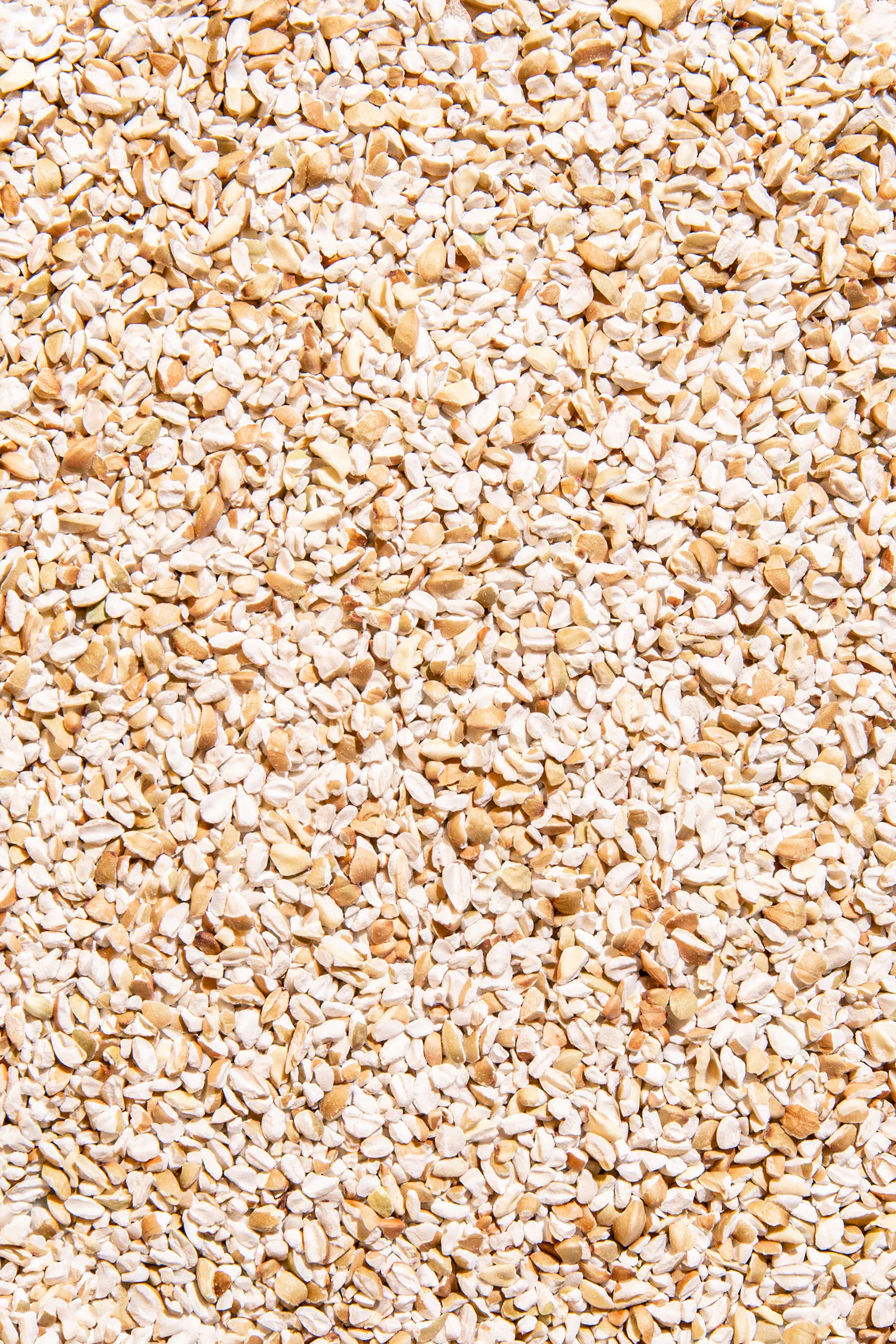 un tas de graines blanches et brunes sur fond blanc