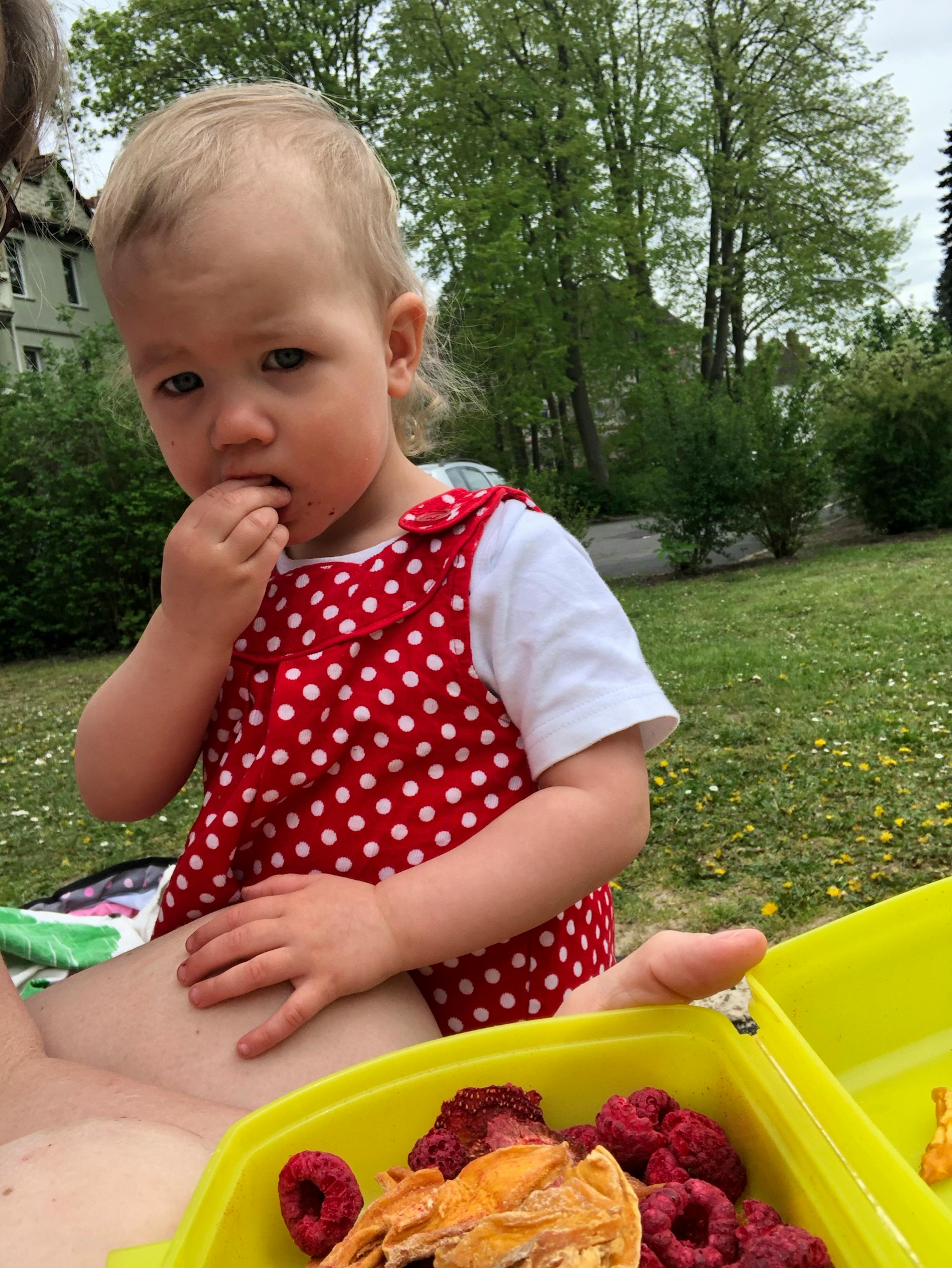 a little girl in a red and white polka dot dress is eating raspberries