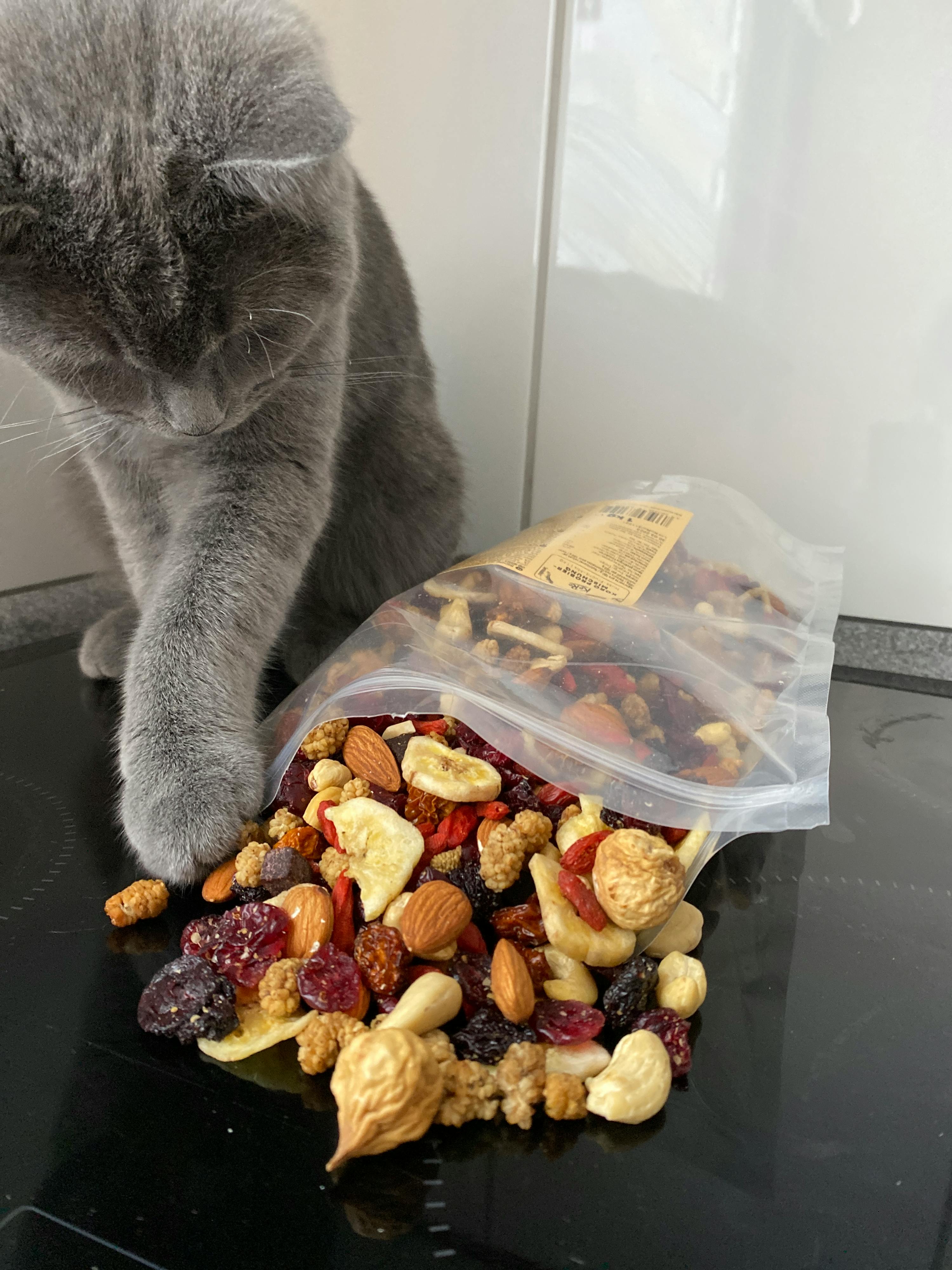 eine katze greift nach einem beutel mit nüssen und trockenfrüchten