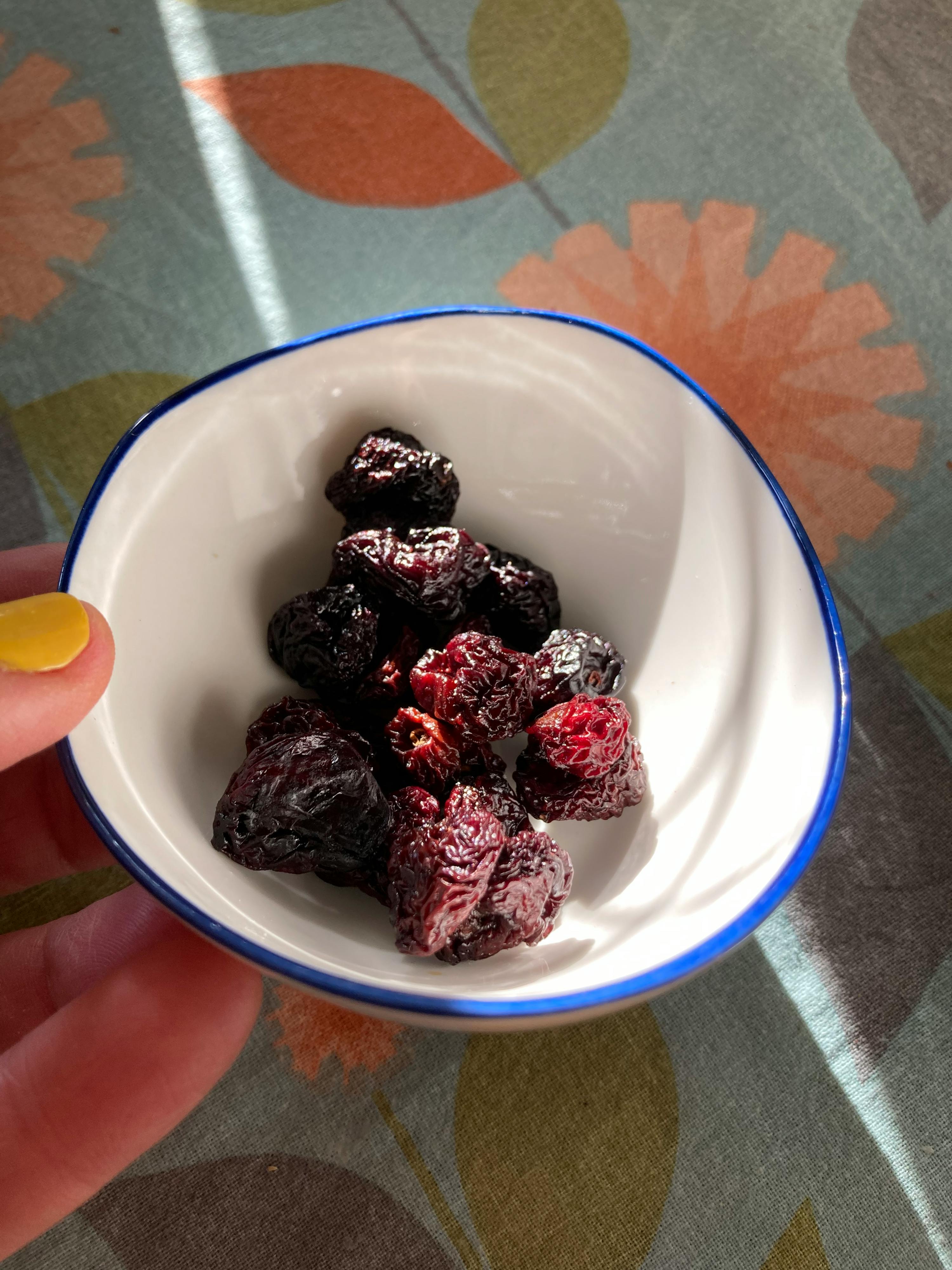 une personne tient un petit bol de canneberges séchées