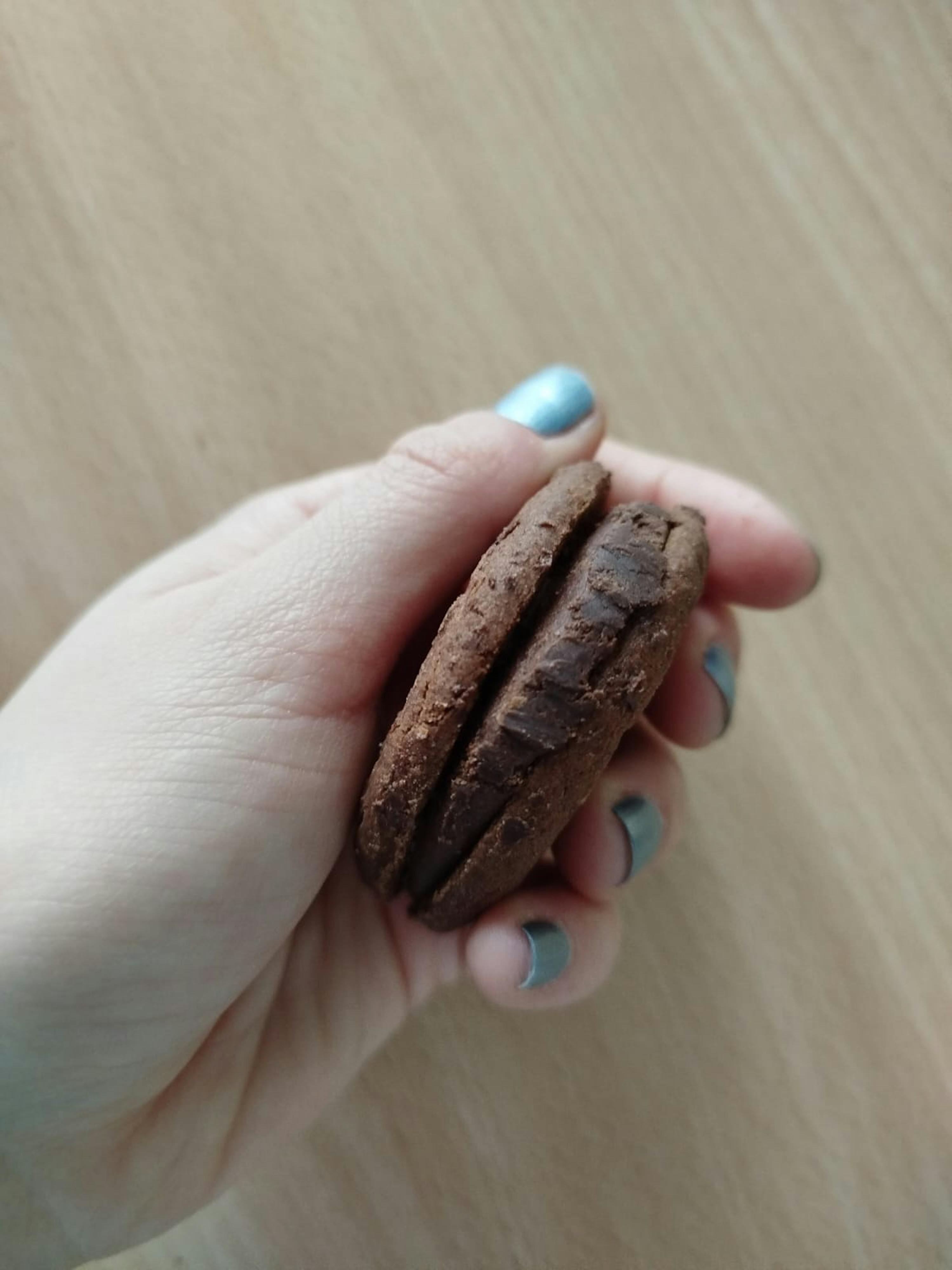 eine Frau mit blauen Nägeln hält ein Schokoladenkeks in der Hand