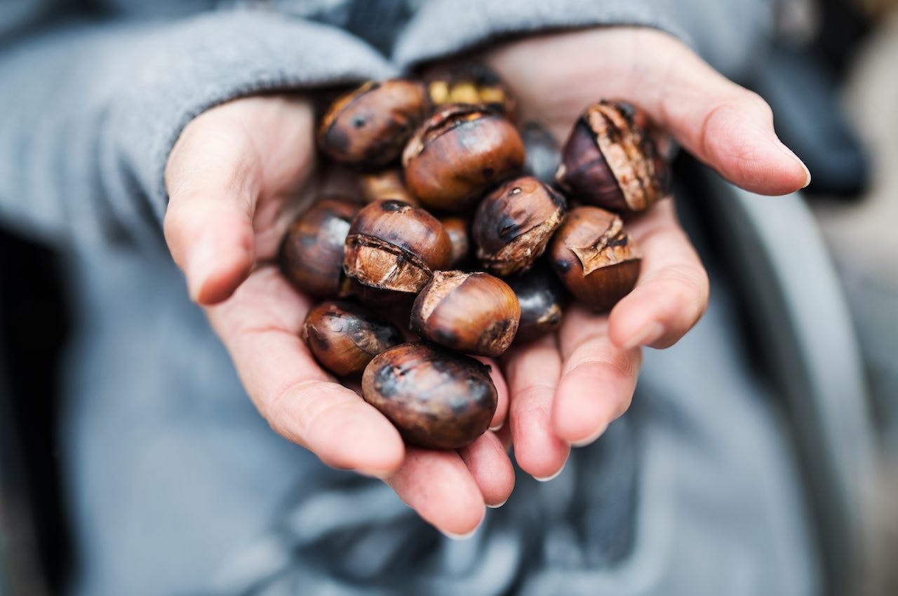 Get to know: Chestnuts and chestnuts