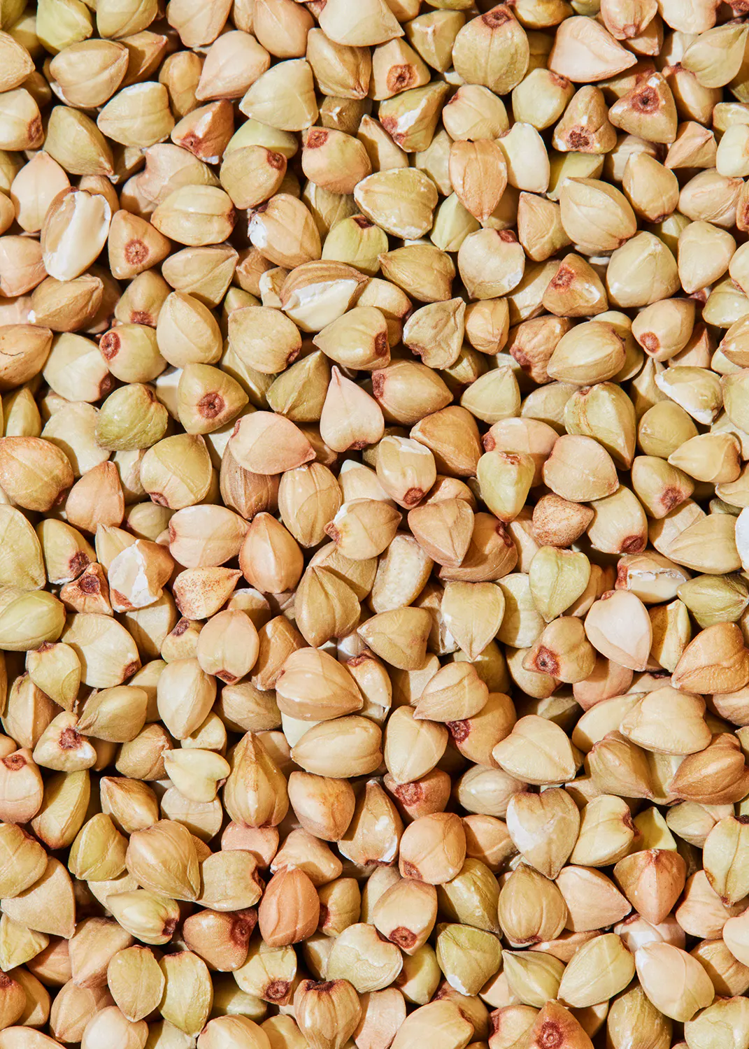 un gros plan d' un tas de graines de blé