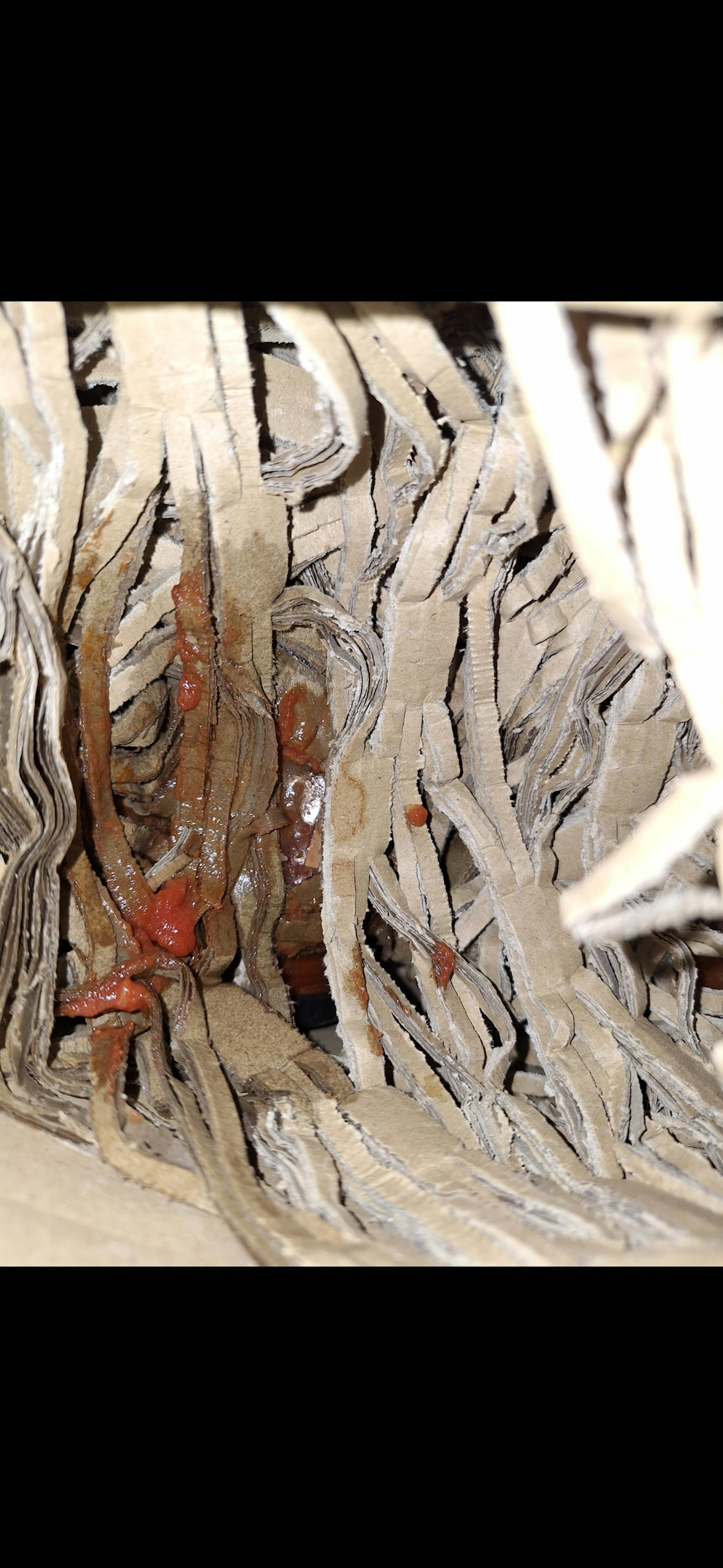 un gros plan d' un morceau de carton avec de la nourriture à l' intérieur