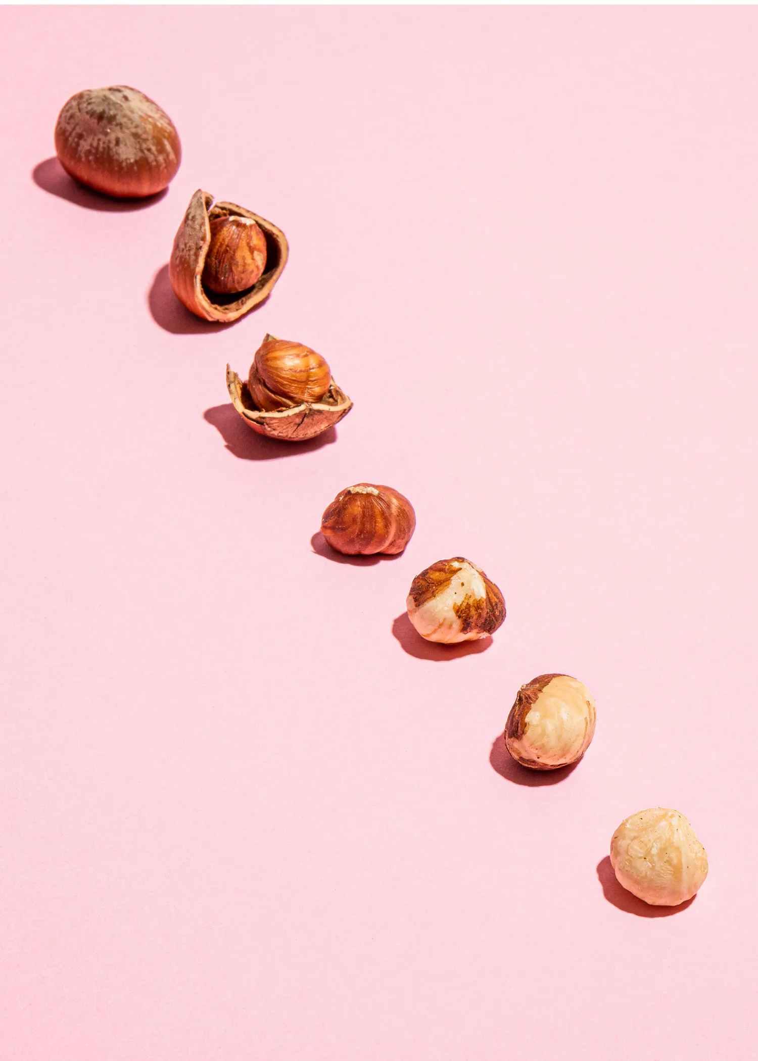 les noisettes sont disposées dans une rangée sur un fond rose