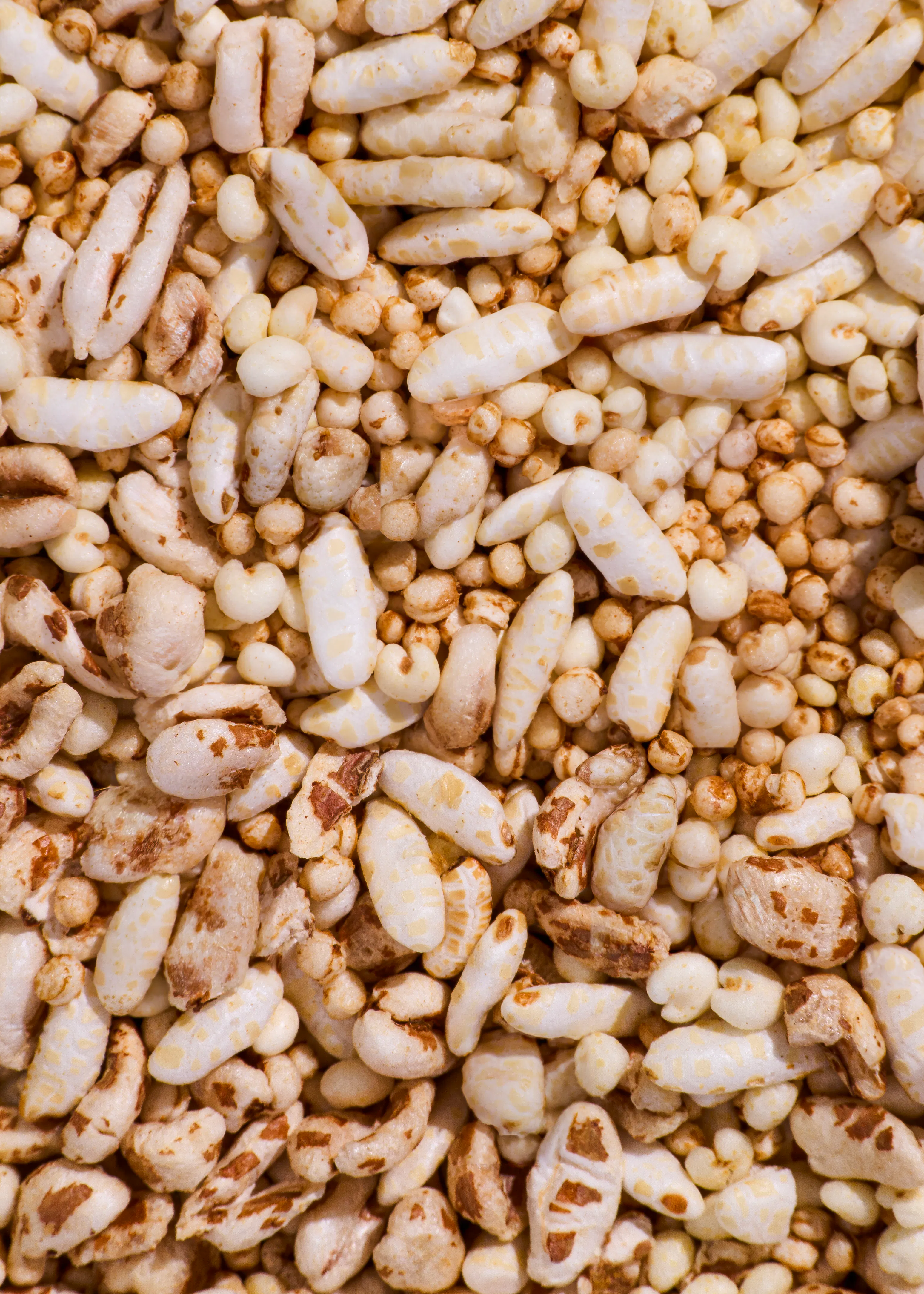 a close-up of a mixture of white puffed rice and smaller, light brown puffed grains.