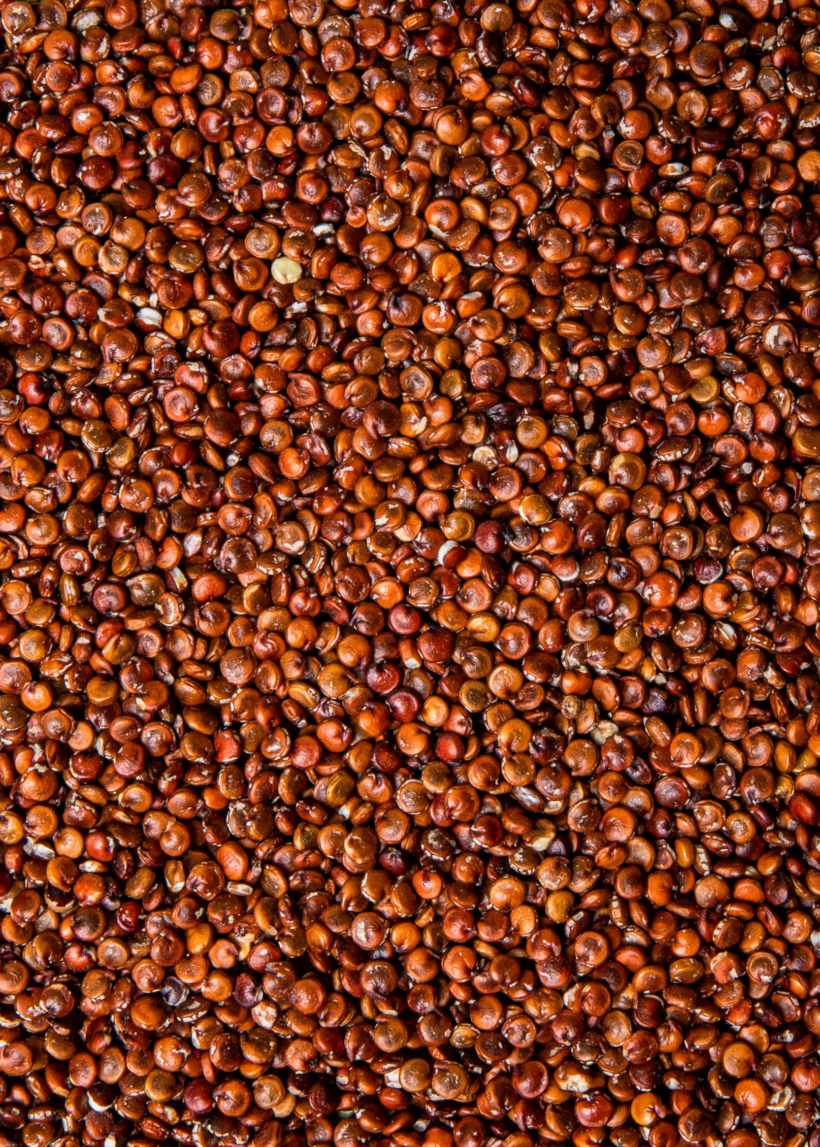 un gros plan d' un tas de graines rouges