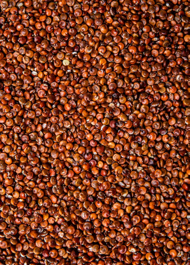 un gros plan d' un tas de graines rouges