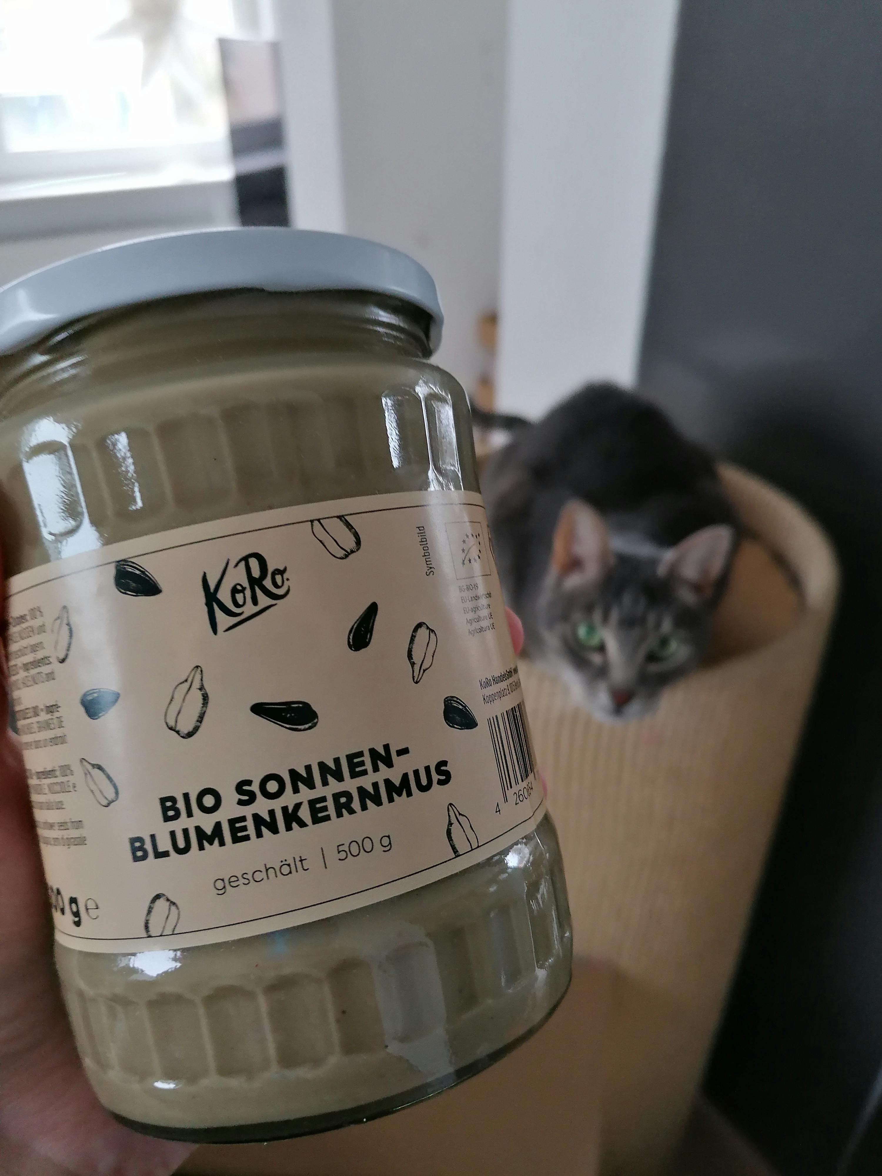une personne tient un bocal de sonnen-blumenkernmus bio à côté d' un chat