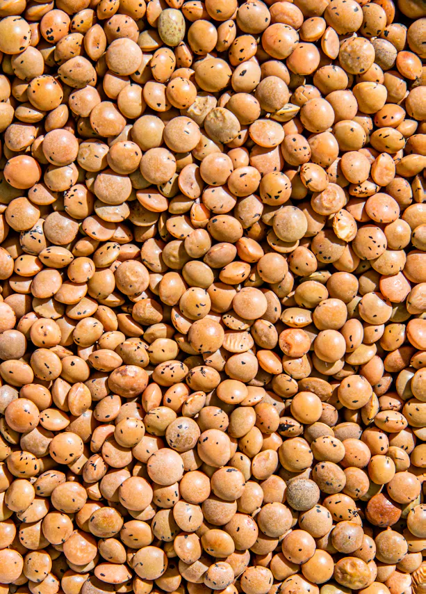a pile of lentils with black spots on them