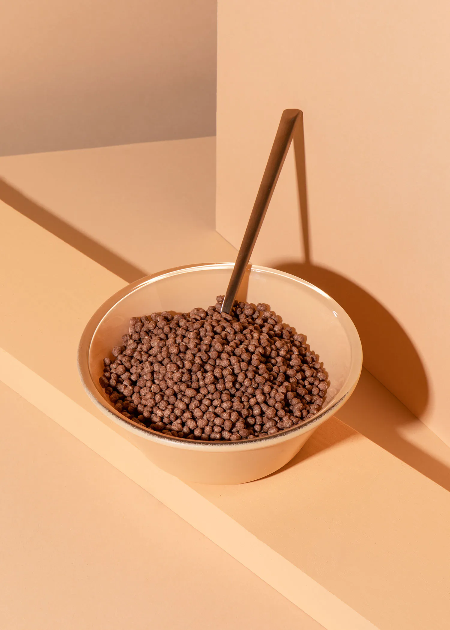 un bol de céréales au chocolat avec une cuillère dans le bol