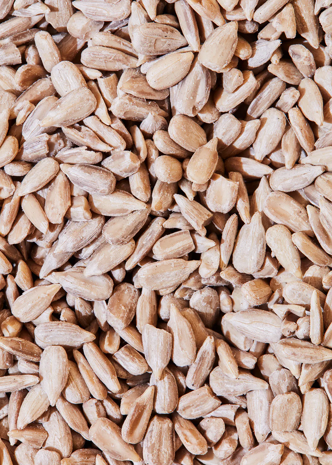 un tas de graines de tournesol sont empilées les unes sur les autres