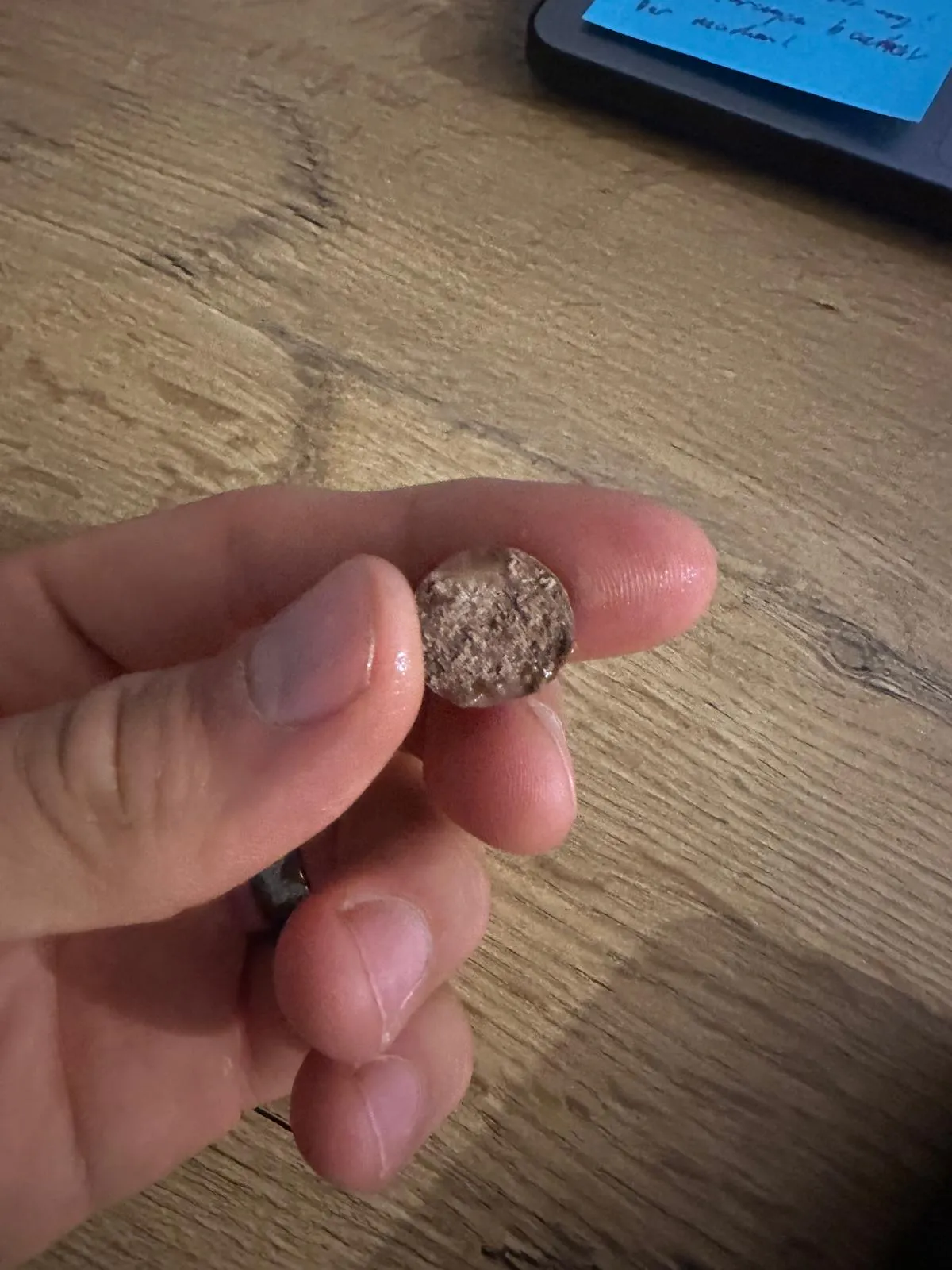 una mano tiene tra le dita una piccola compressa circolare di colore marrone con una superficie irregolare.