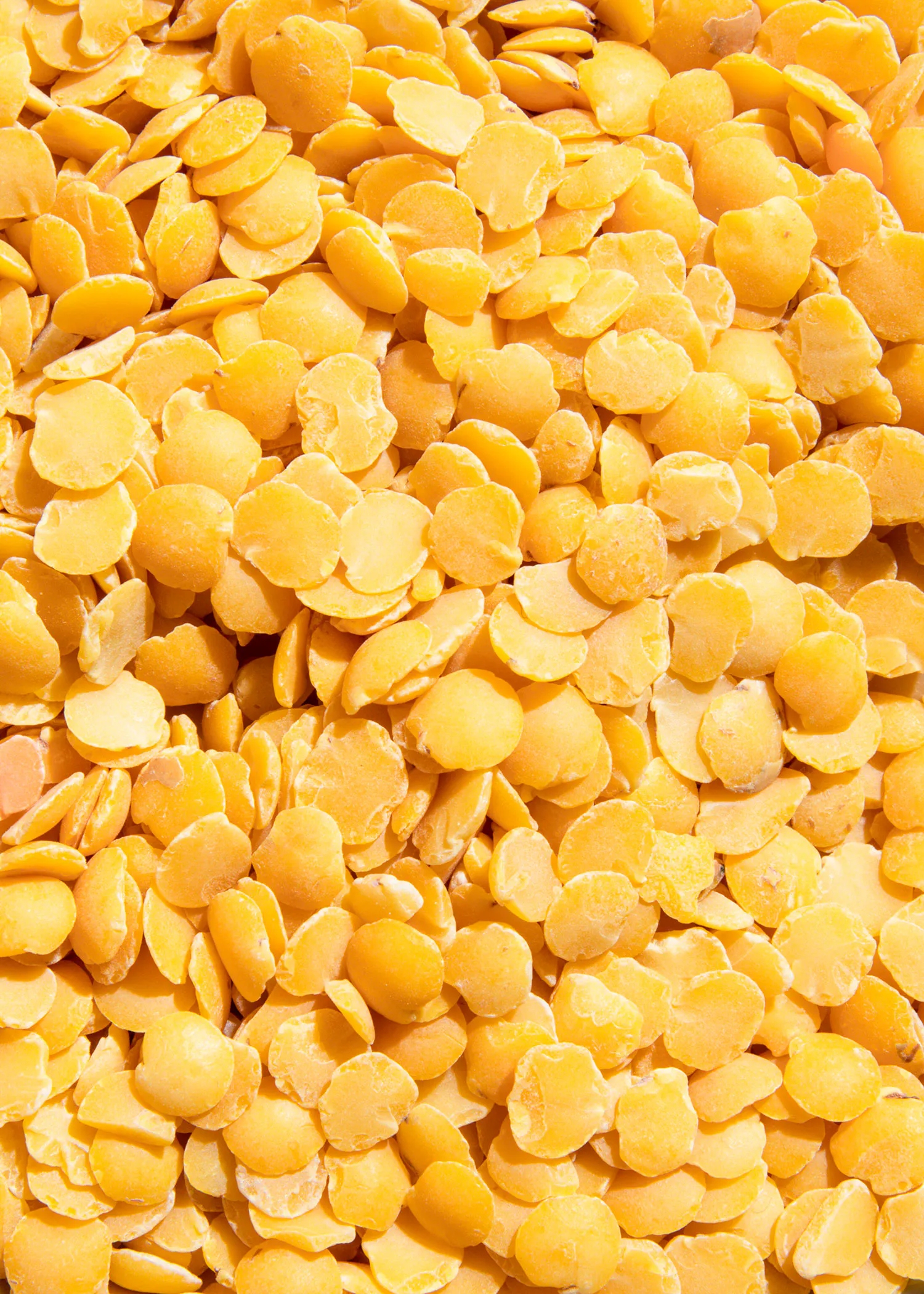 a close up of a pile of yellow beans