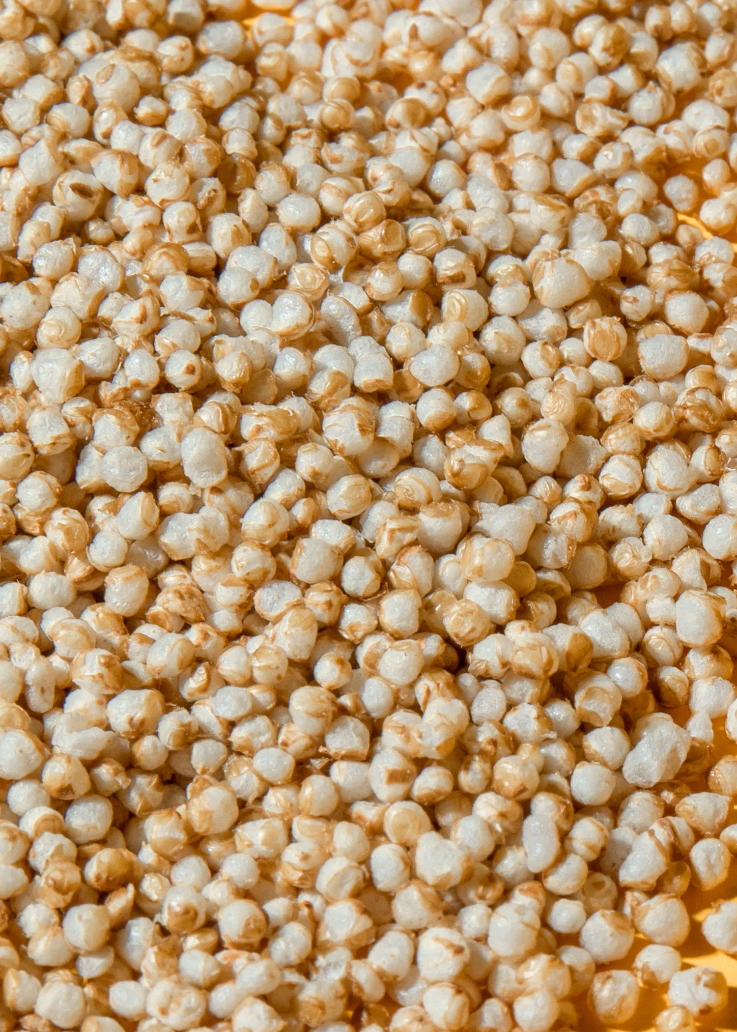 un tas de graines brunes et blanches sur un fond jaune