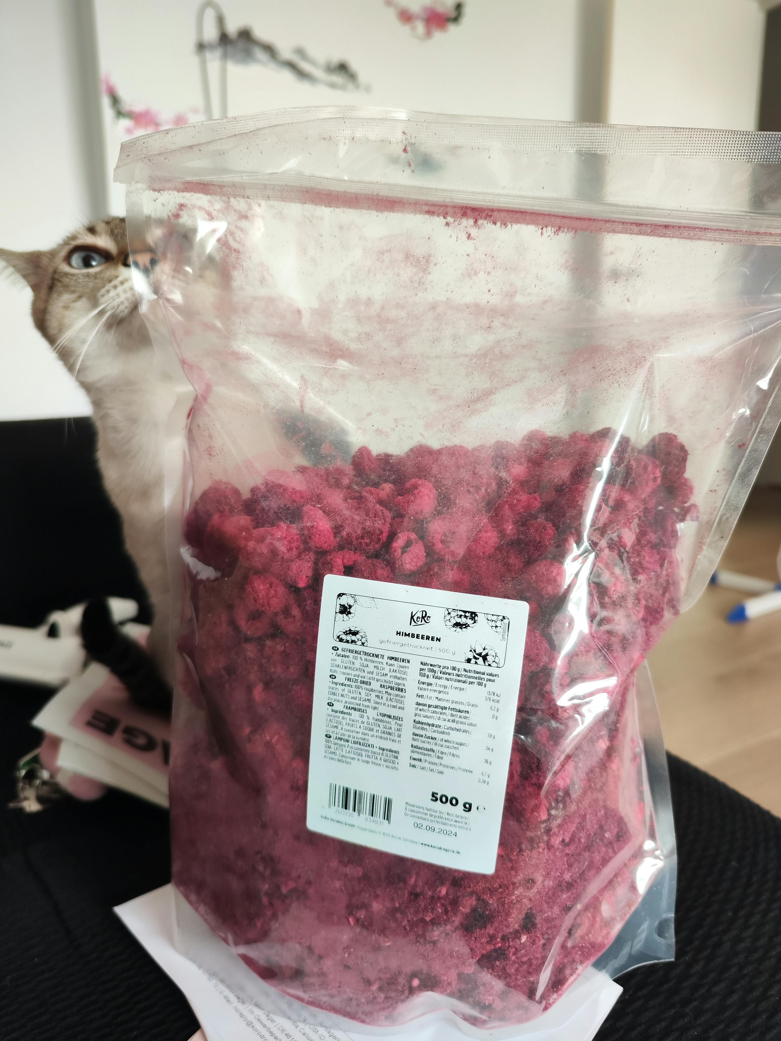 un gatto è seduto accanto a un sacchetto di lamponi secchi