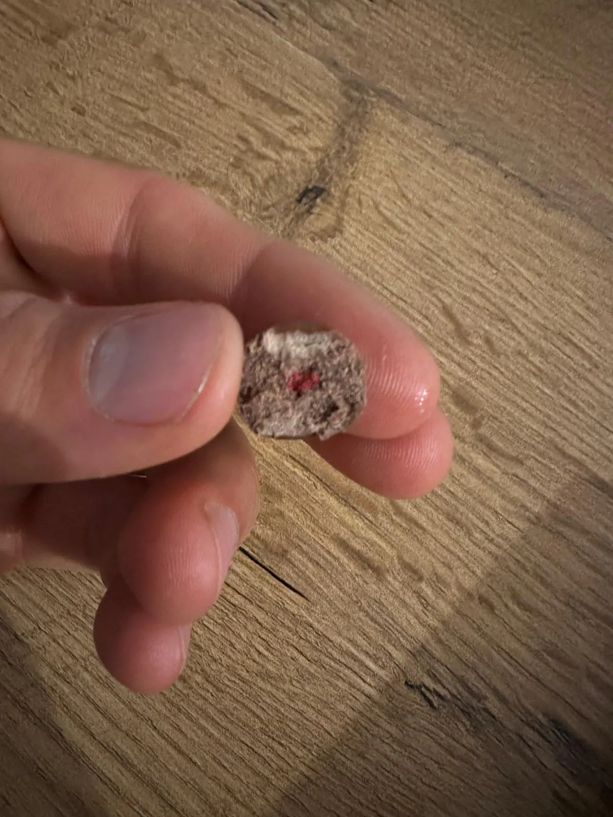 una mano tiene tra le dita un piccolo snack circolare di colore marrone con un punto rosso al centro.