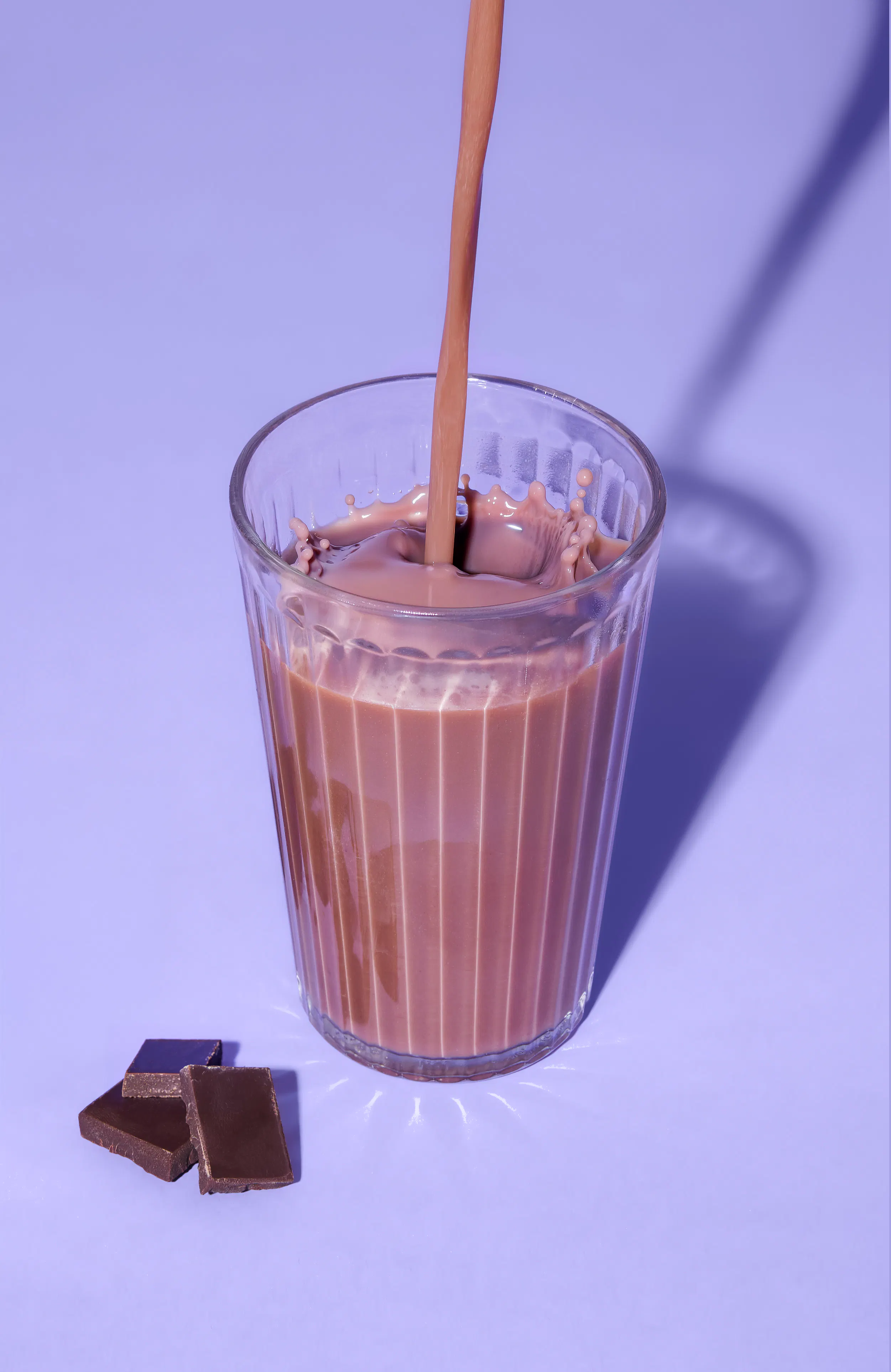 Whey protéine au chocolat 1 kg