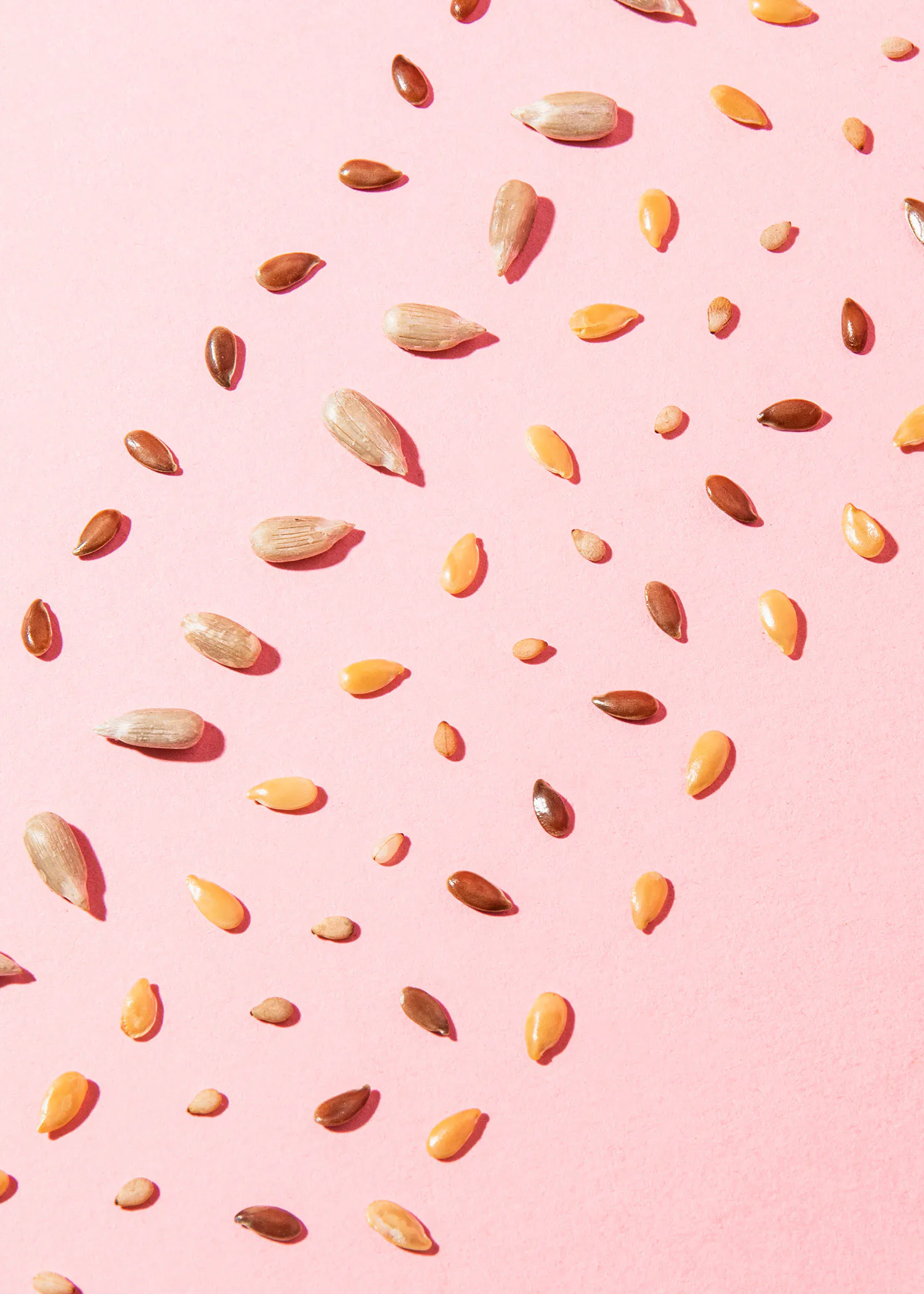 un tas de graines de tournesol sur fond rose