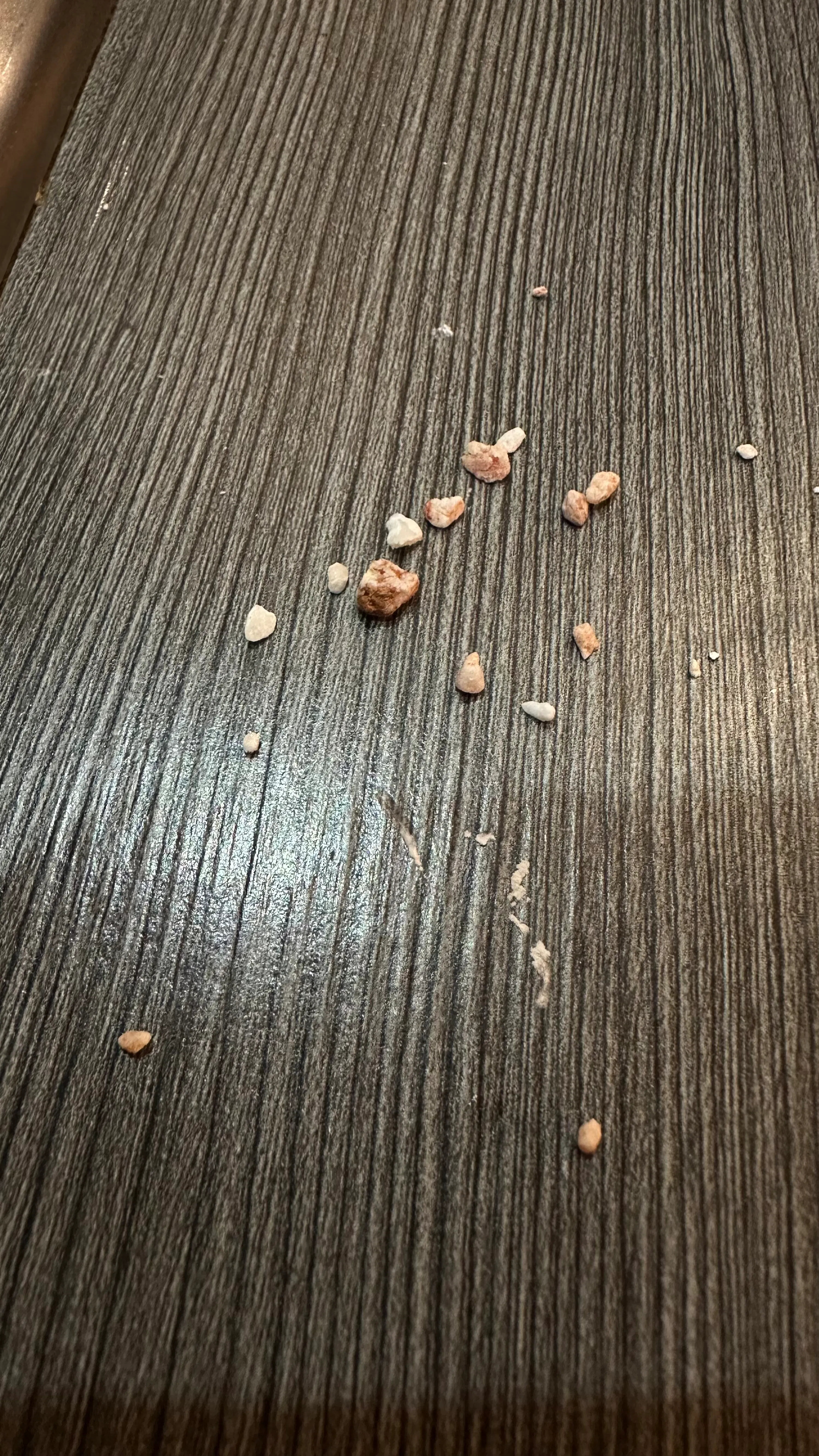 petits cailloux et quelques débris éparpillés sur une surface en bois foncé avec un grain prononcé.