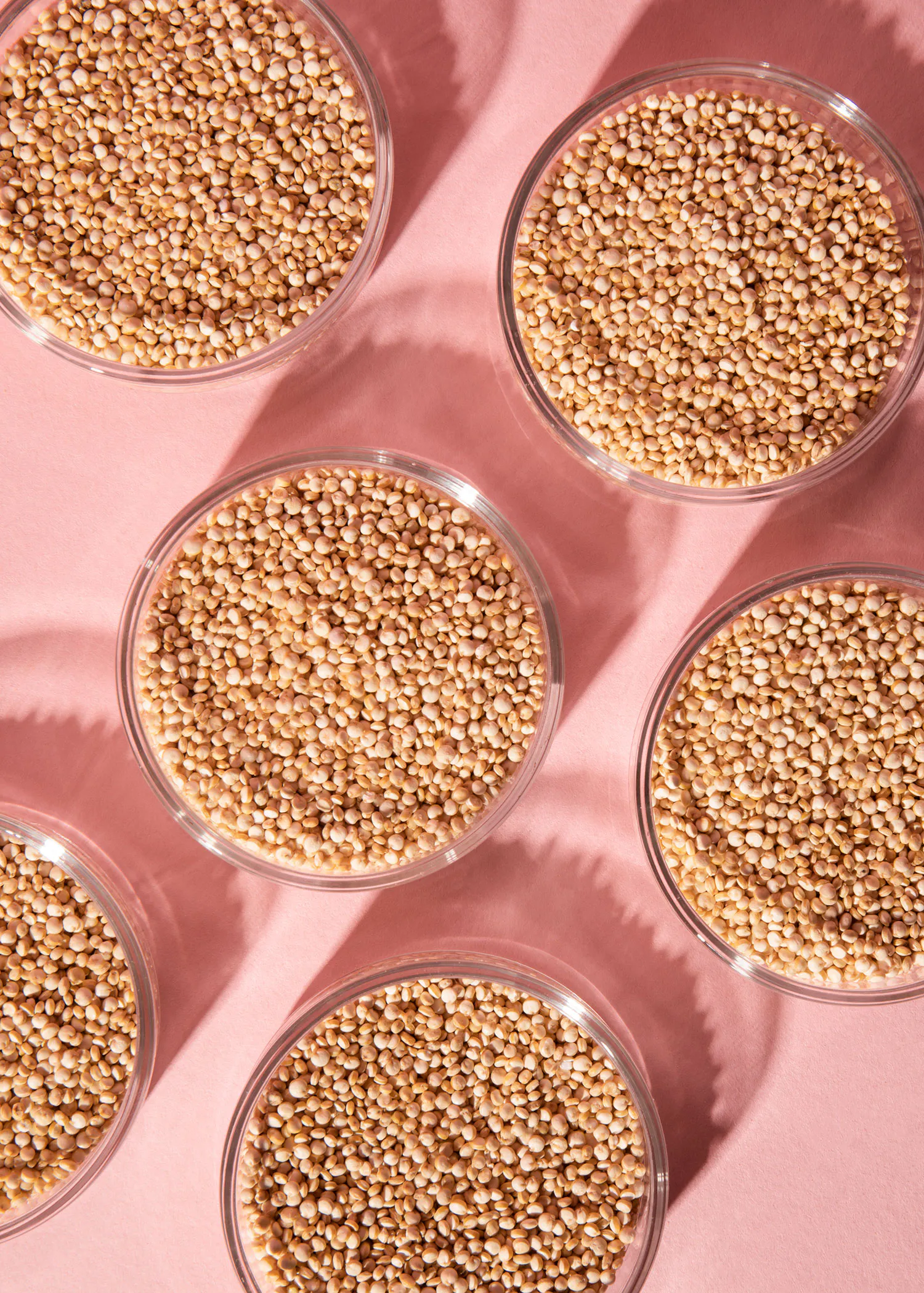 six bols en verre remplis de graines sur une surface rose