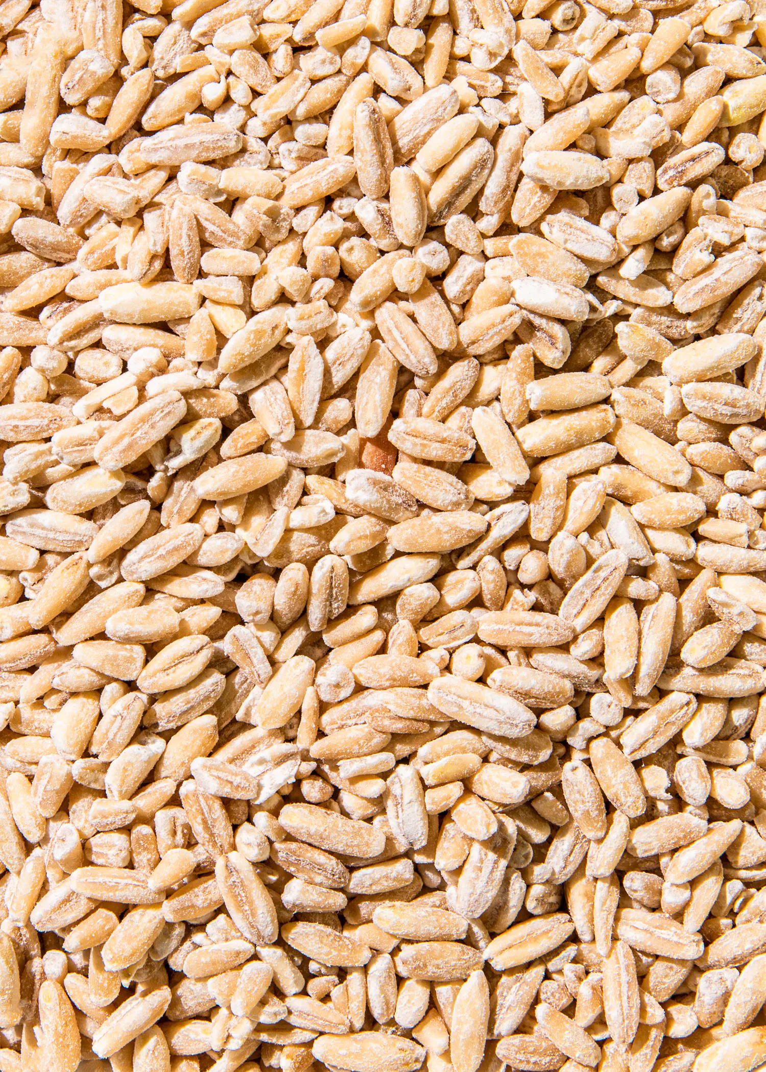 a close up of a pile of oatmeal grains