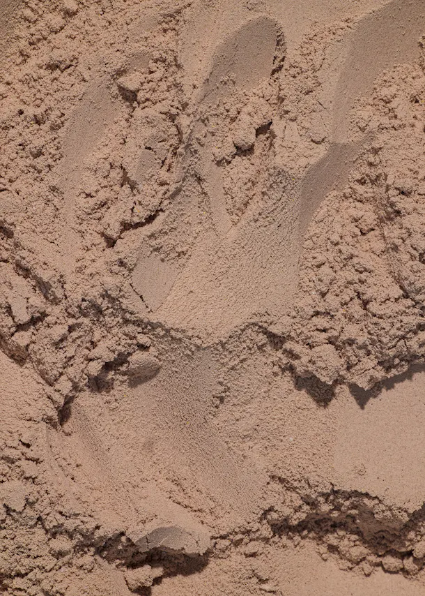 un gros plan d' un tas de sable marron