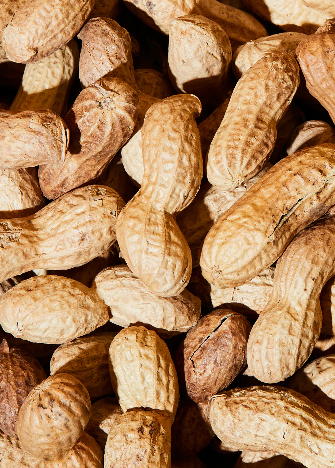 un montón de cacahuetes en sus cáscaras están apilados uno al lado del otro