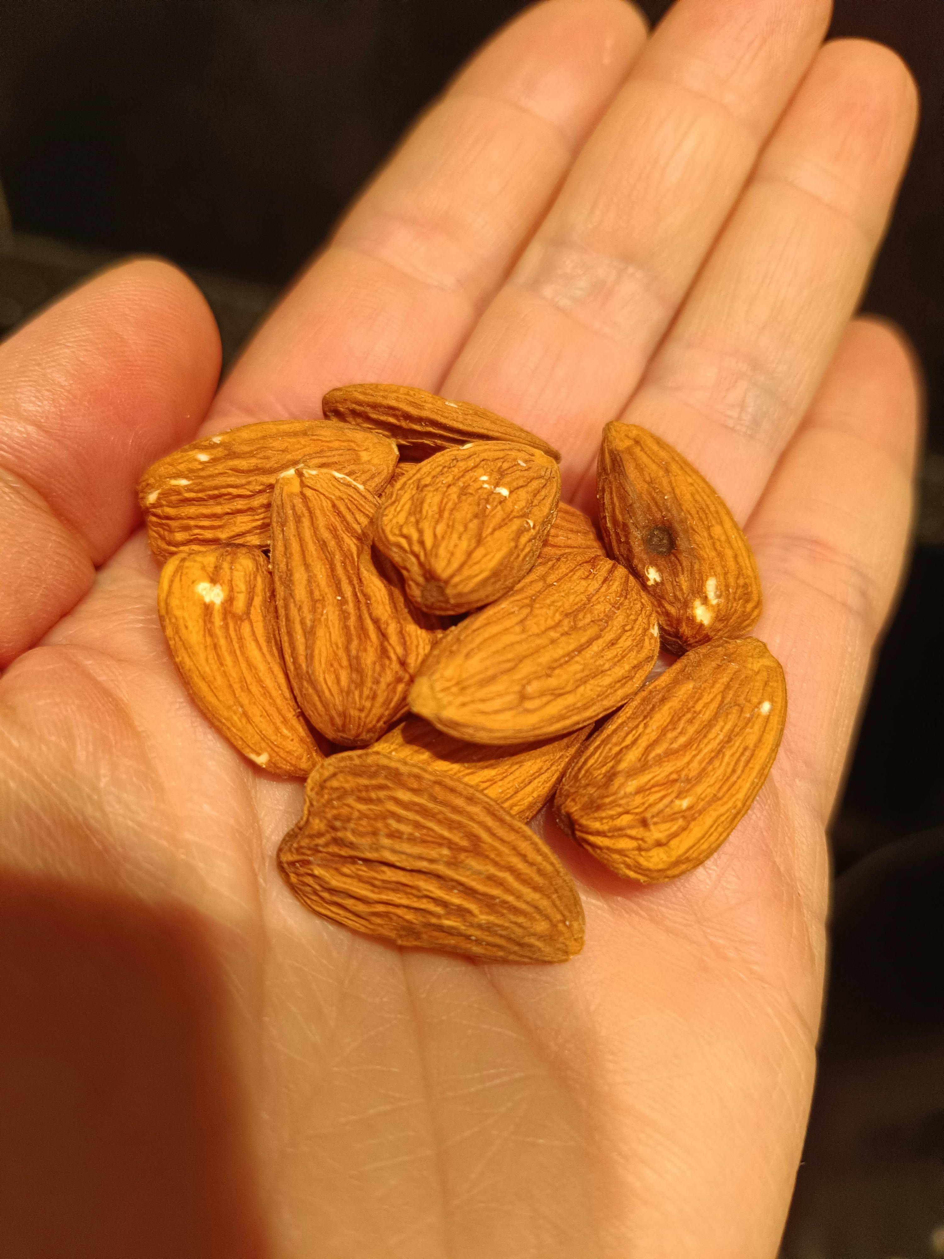 a person holding a handful of almonds in their palm