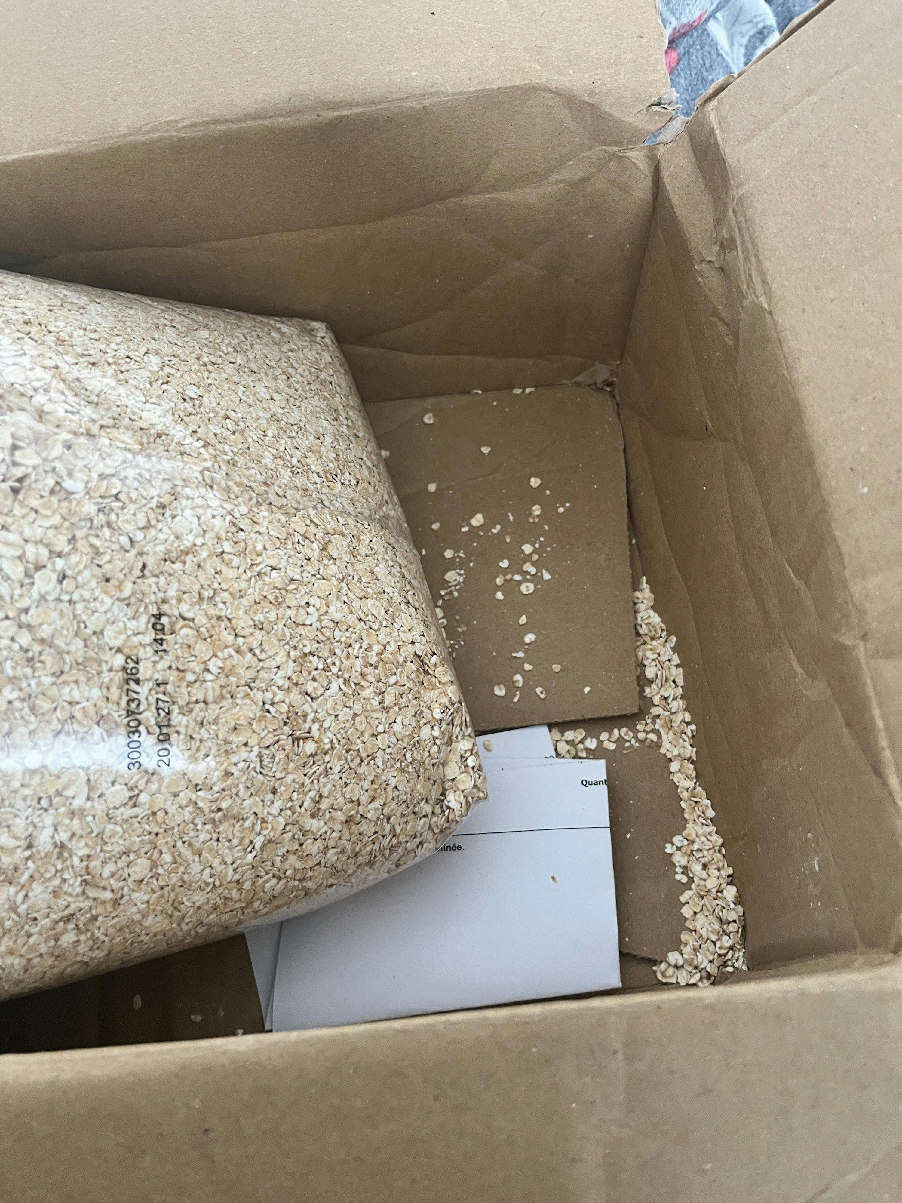 a large clear bag of oats has spilled inside a cardboard box, with loose oats scattered on the bottom and a piece of paper visible.