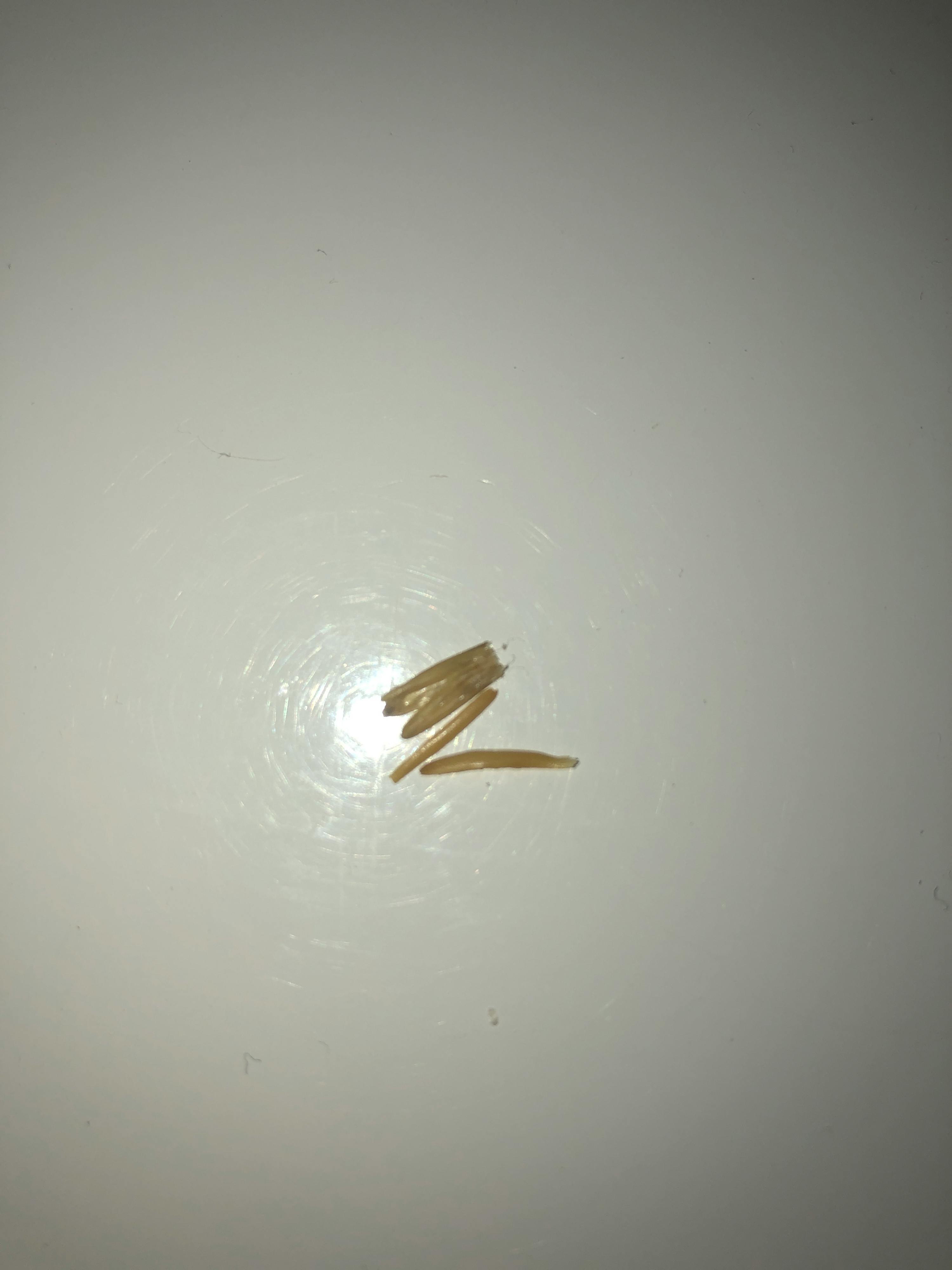 a white surface with a few pieces of wood on it