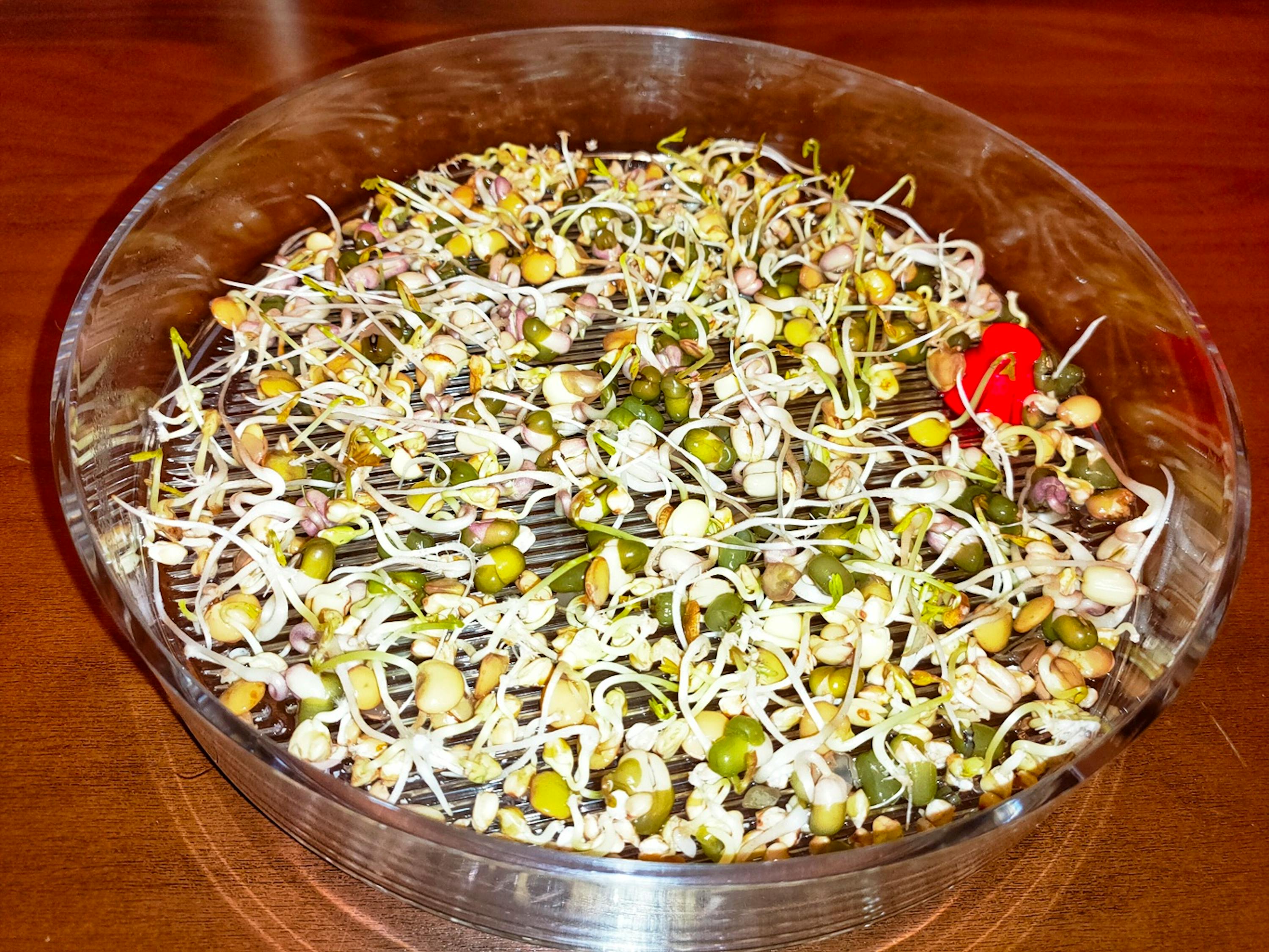 a glass bowl filled with sprouts and a red spoon