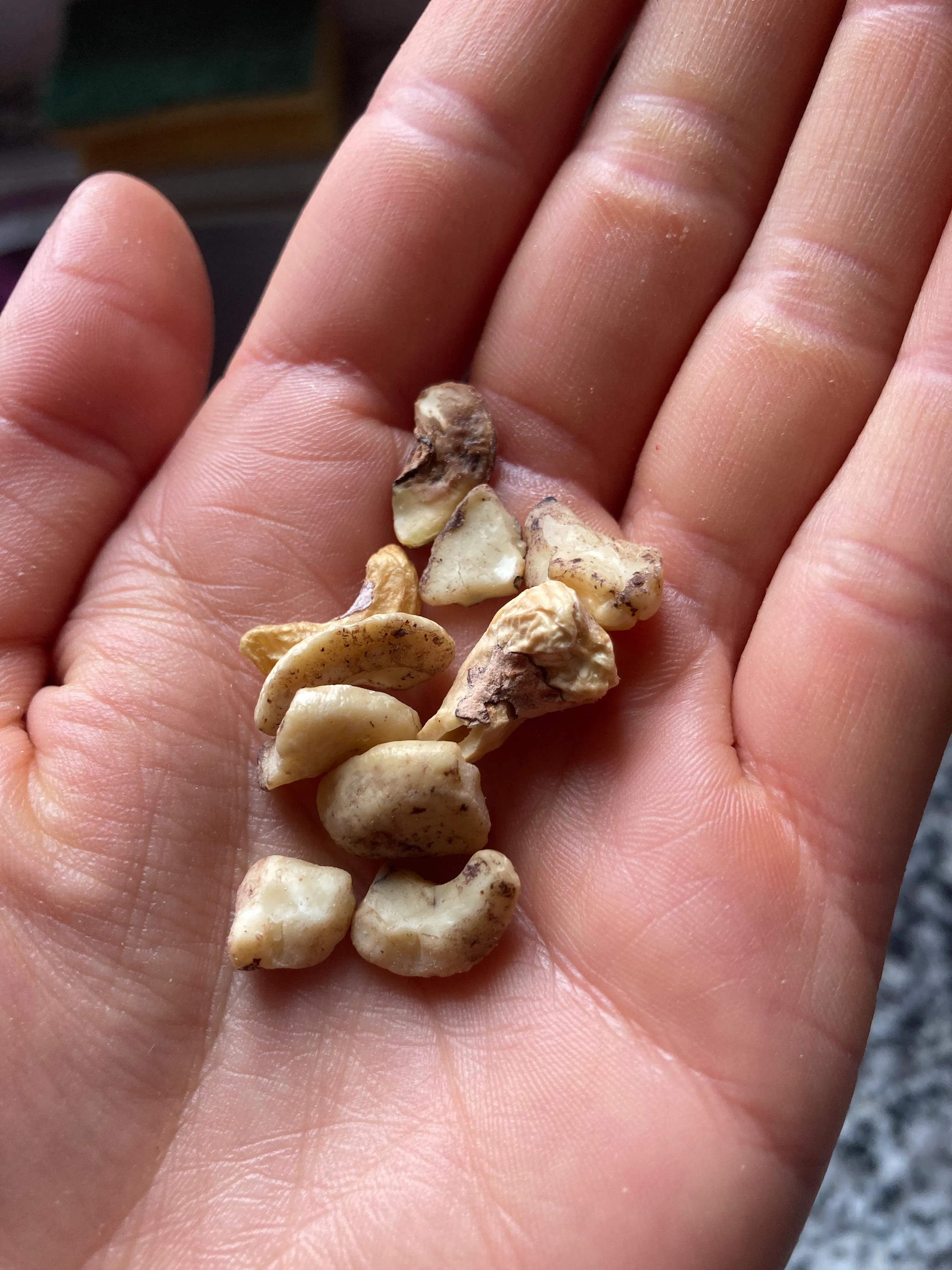 a person holding a handful of nuts in their palm