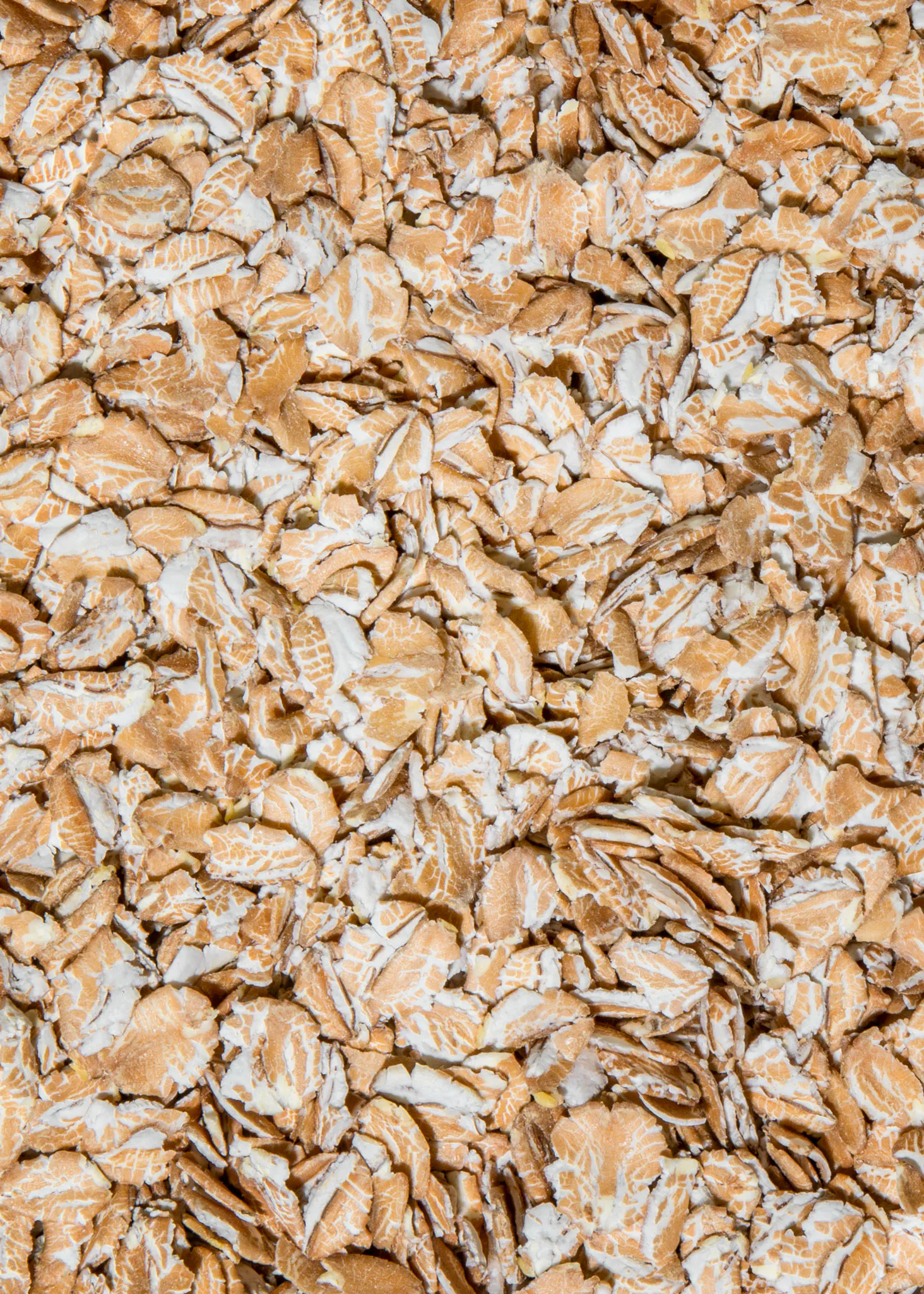 a close up of a pile of oat flakes