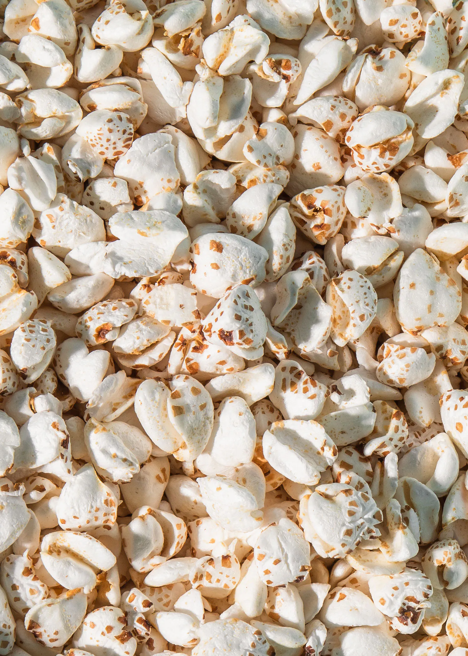 un tas de graines blanches avec des taches brunes sur elles
