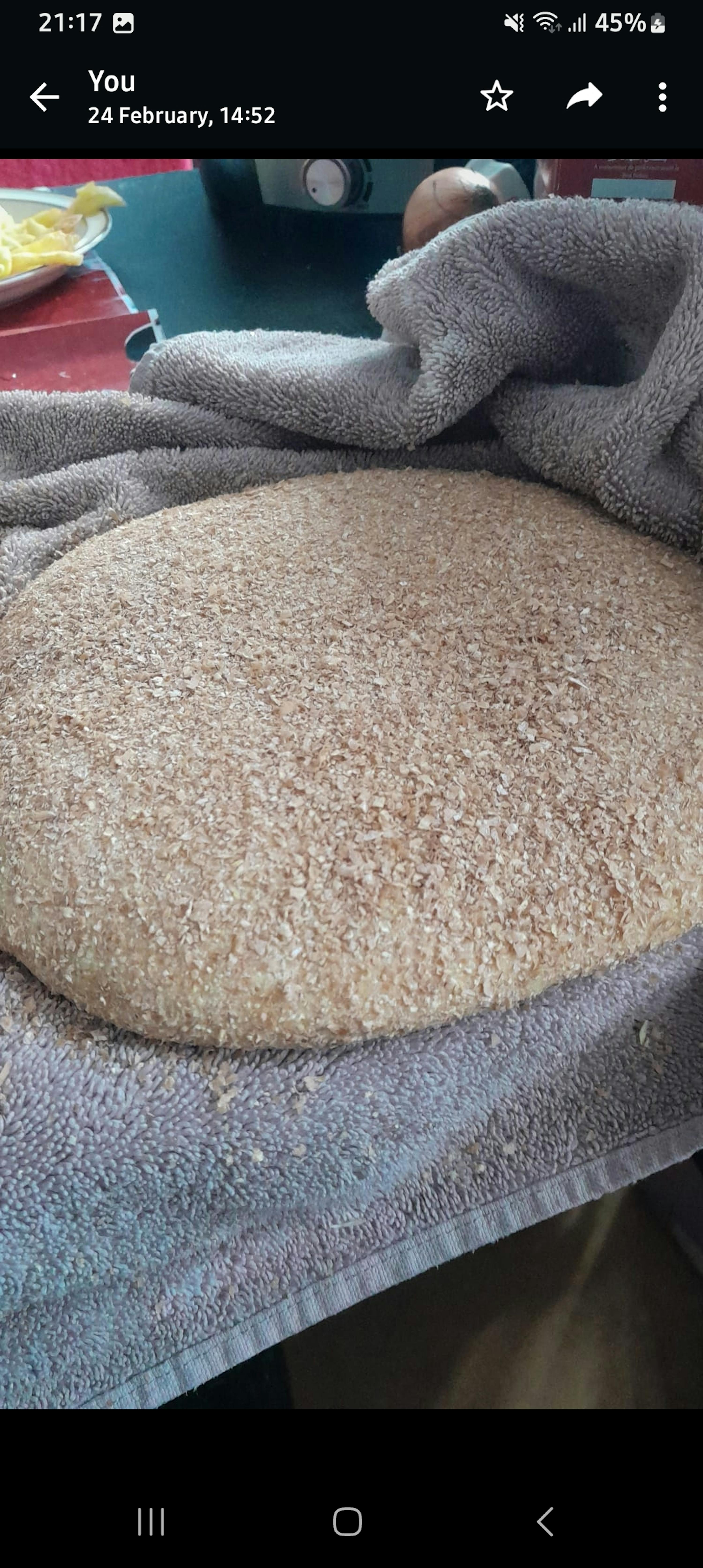 a phone screen shows a picture of a loaf of bread on a towel