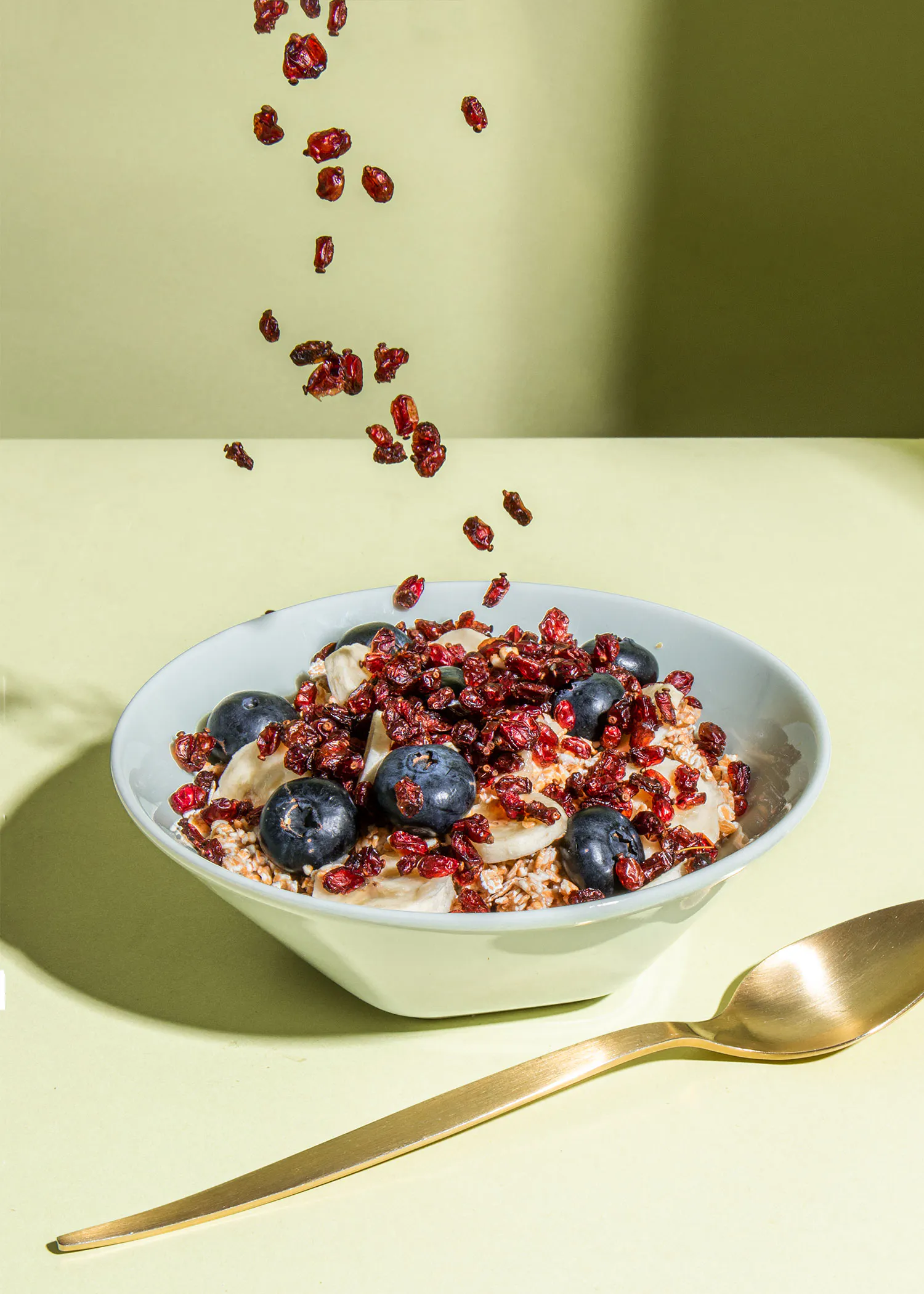un bol de céréales avec des bleuets et des canneberges avec une cuillère