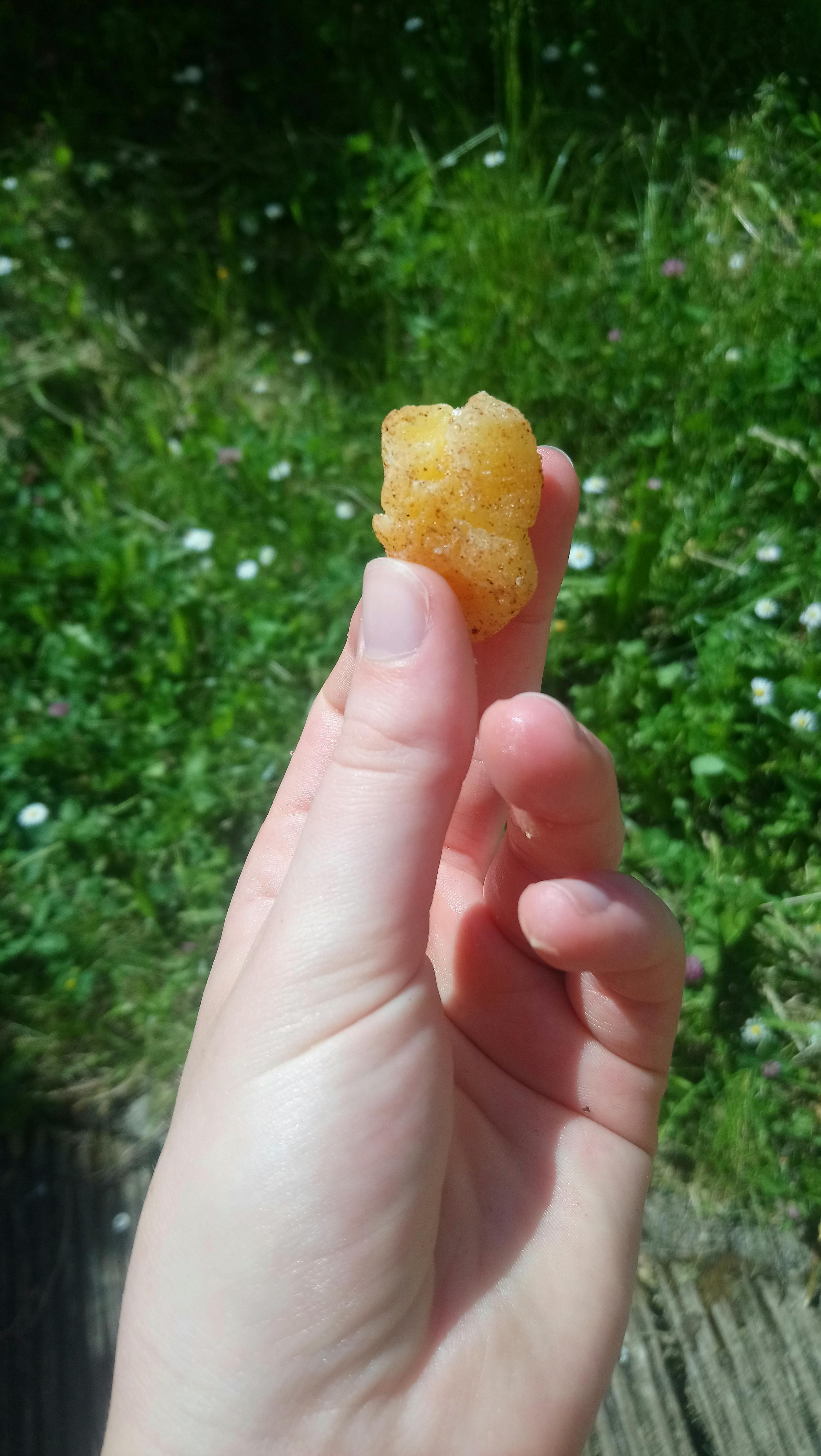 une personne tient un morceau de nourriture dans sa main