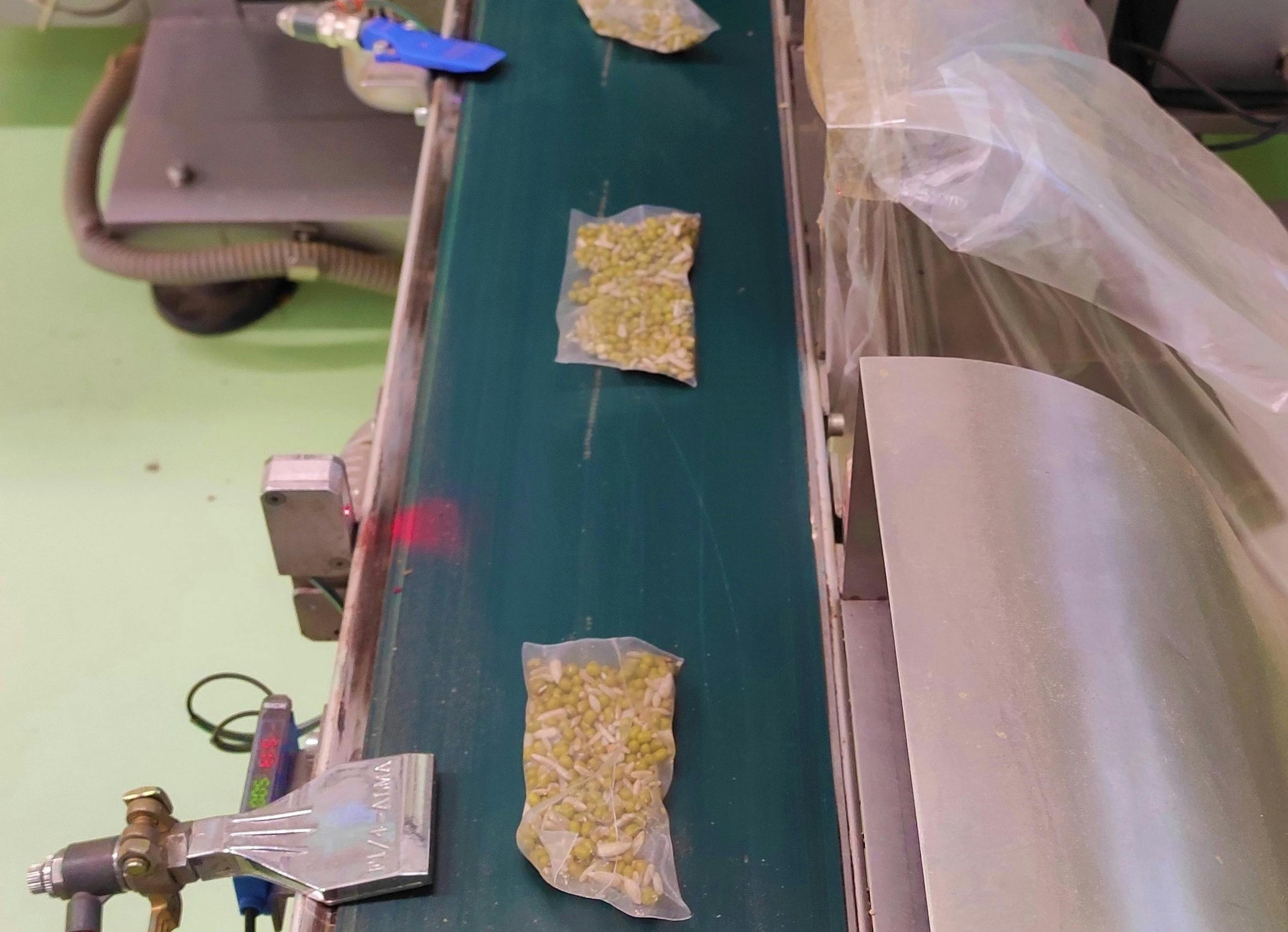 Sacchetto Per Raccolta Seme 100 Pezzi (2L - Foto 9