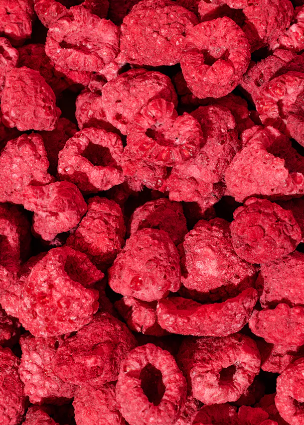 a close up of a pile of dried raspberries