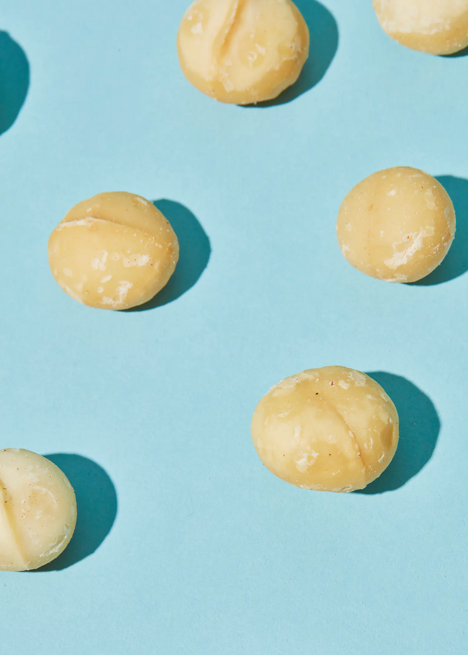 des noix de macadamia sont disposées en rangs sur une surface bleue